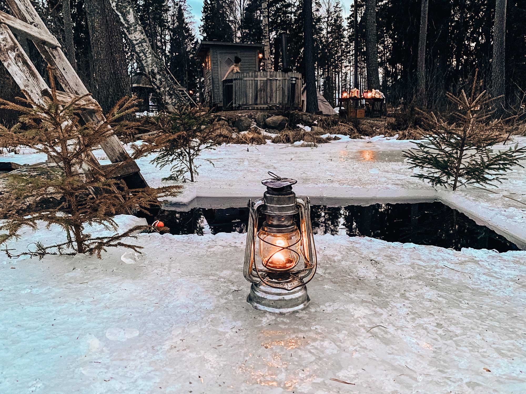 header.jpg