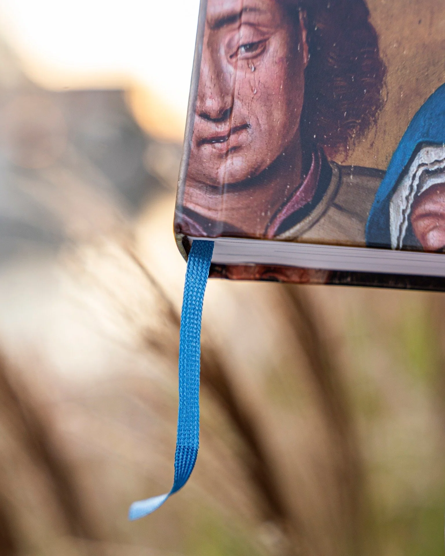 Boekontwerp voor Ambitie &amp; ondergang, de geldhonger van de Bourgondische vorsten van Marc Boone. 

Hardcover 
400 pagina's 
Uitgeverij: @uitgeverij_nbsdv