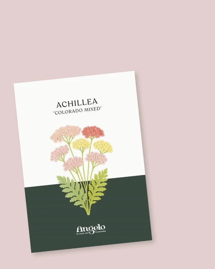 Swipe en zie een zadenzakje tot leven komen! 🌱

1️⃣ Ontwerp &ndash; Is de illustratie groot en duidelijk genoeg? En waar zetten we die zaai-instructies? Illustraties by @angelo_dorny 
2️⃣ Drukken maar! &ndash; De zakjes rollen van de pers op prachti