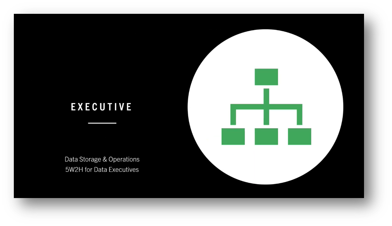 Data Storage & Operations for Data Executives