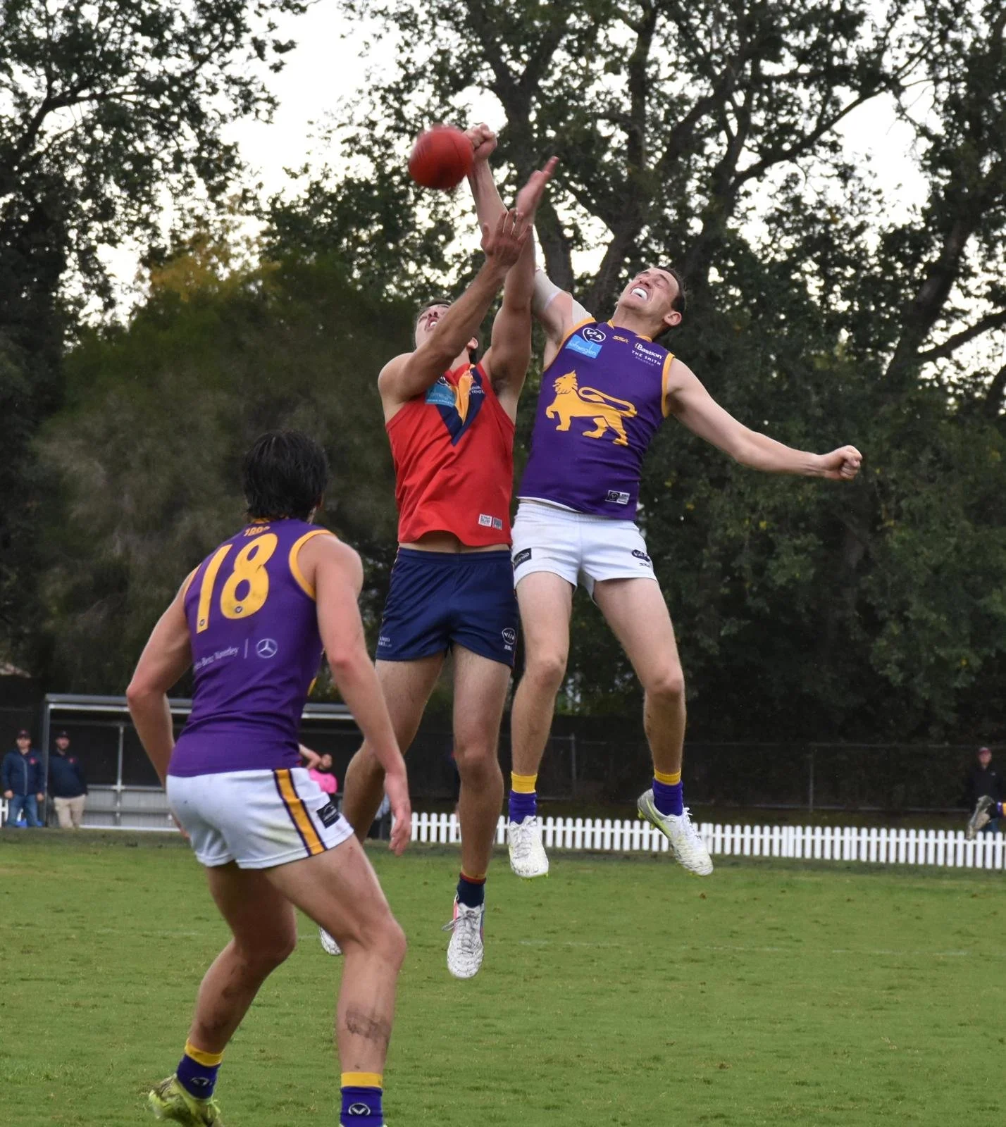 WhatsApp Image 2026-04-11 at 12.53.52 (2).jpeg