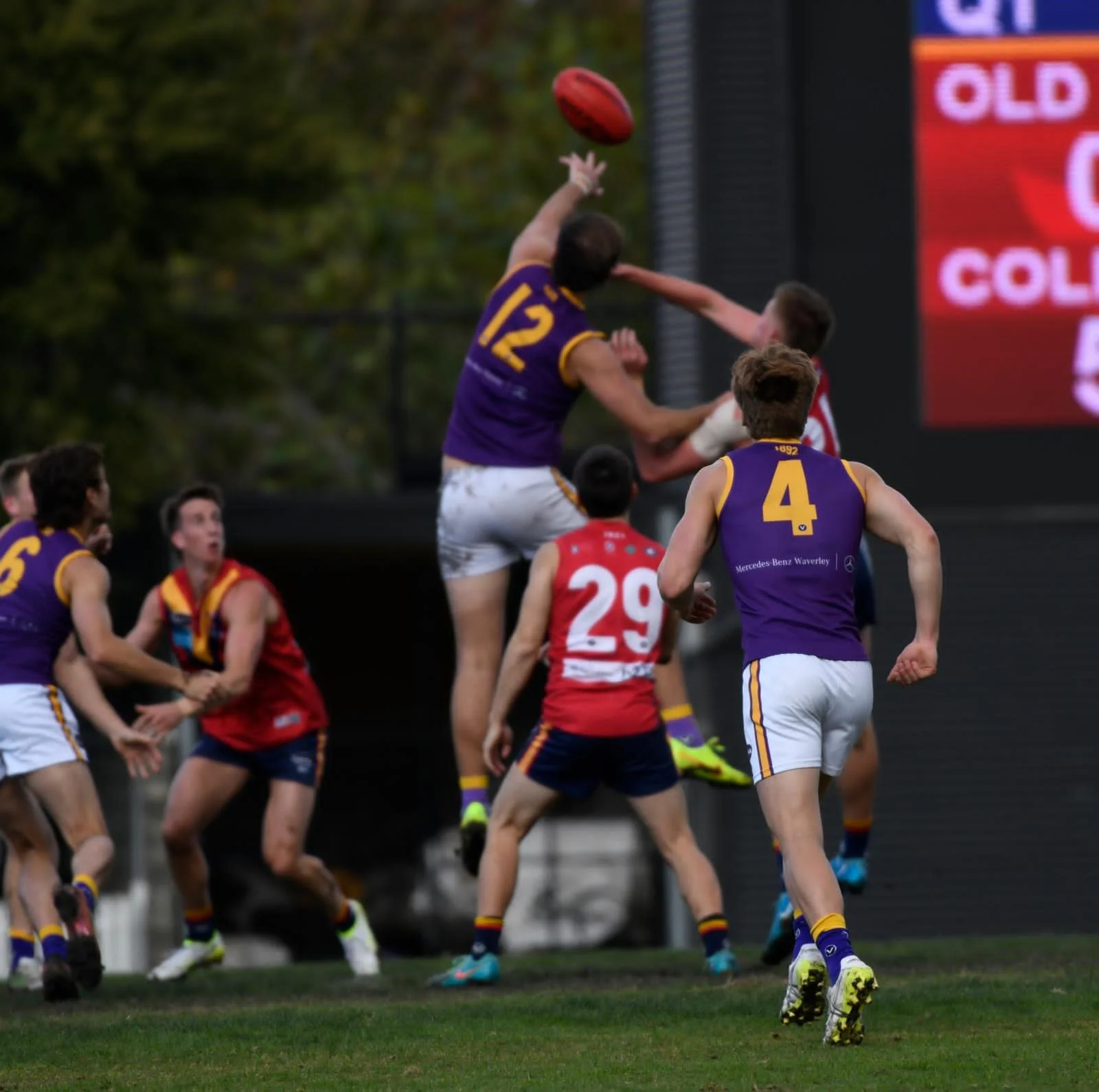 WhatsApp Image 2026-04-11 at 12.53.52 (8).jpeg