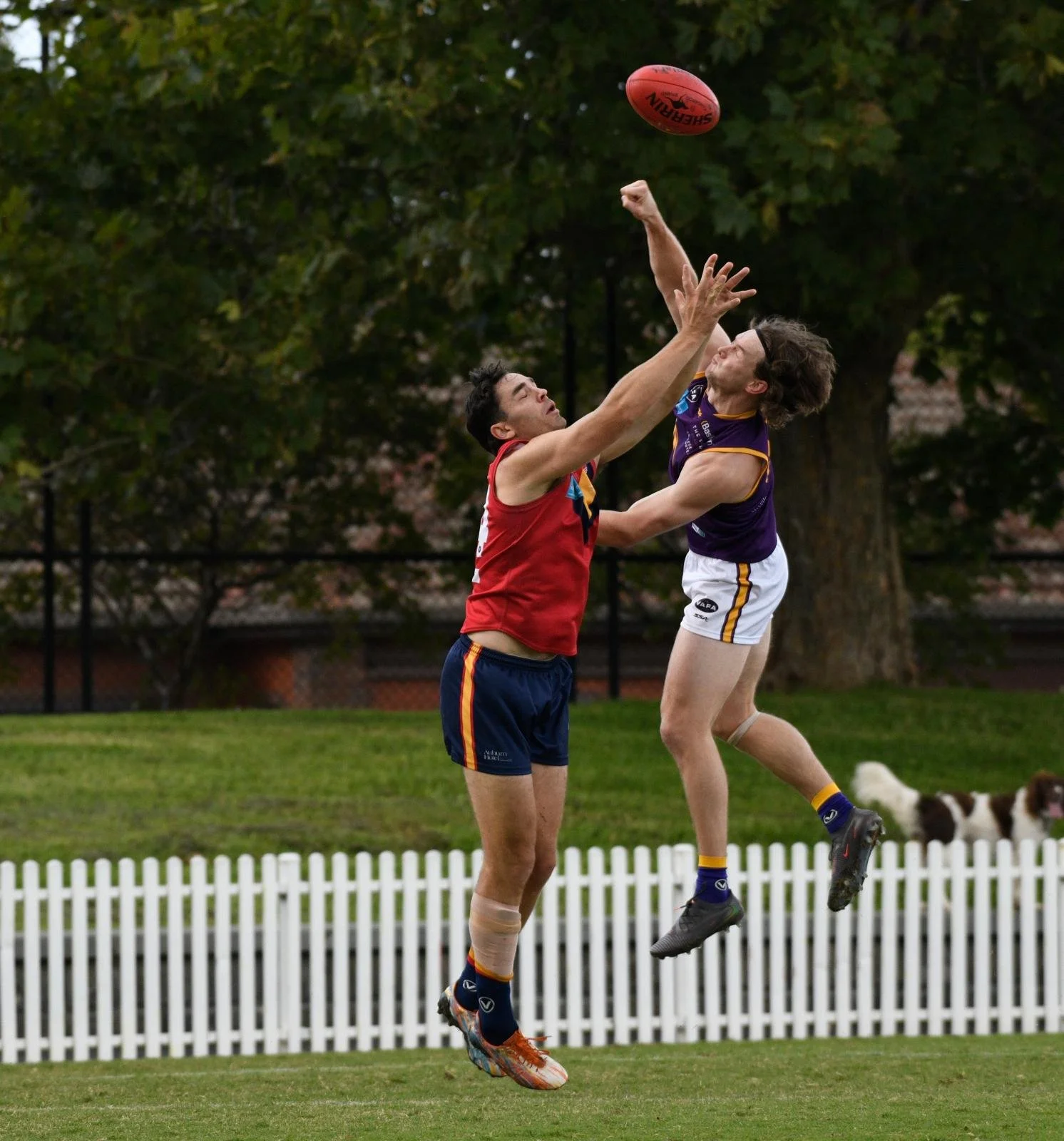 WhatsApp Image 2026-04-11 at 12.53.52 (9).jpeg