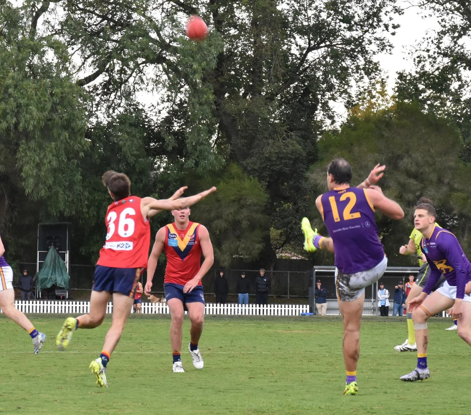 WhatsApp Image 2026-04-11 at 12.53.52.jpeg