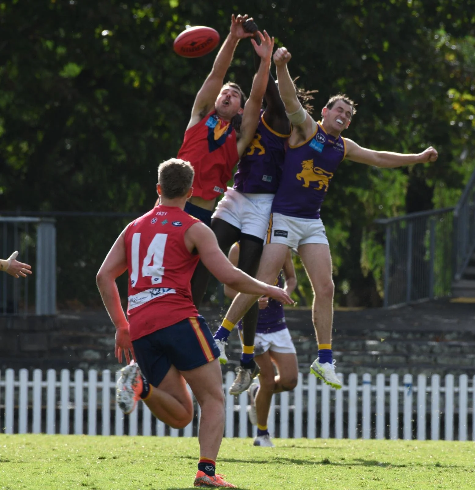 WhatsApp Image 2026-04-11 at 12.53.53 (3).jpeg