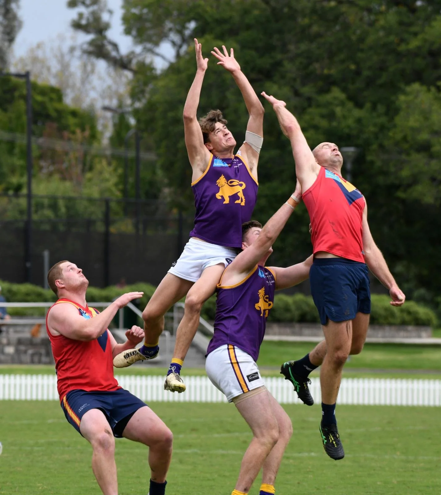 WhatsApp Image 2026-04-12 at 00.05.51.jpeg