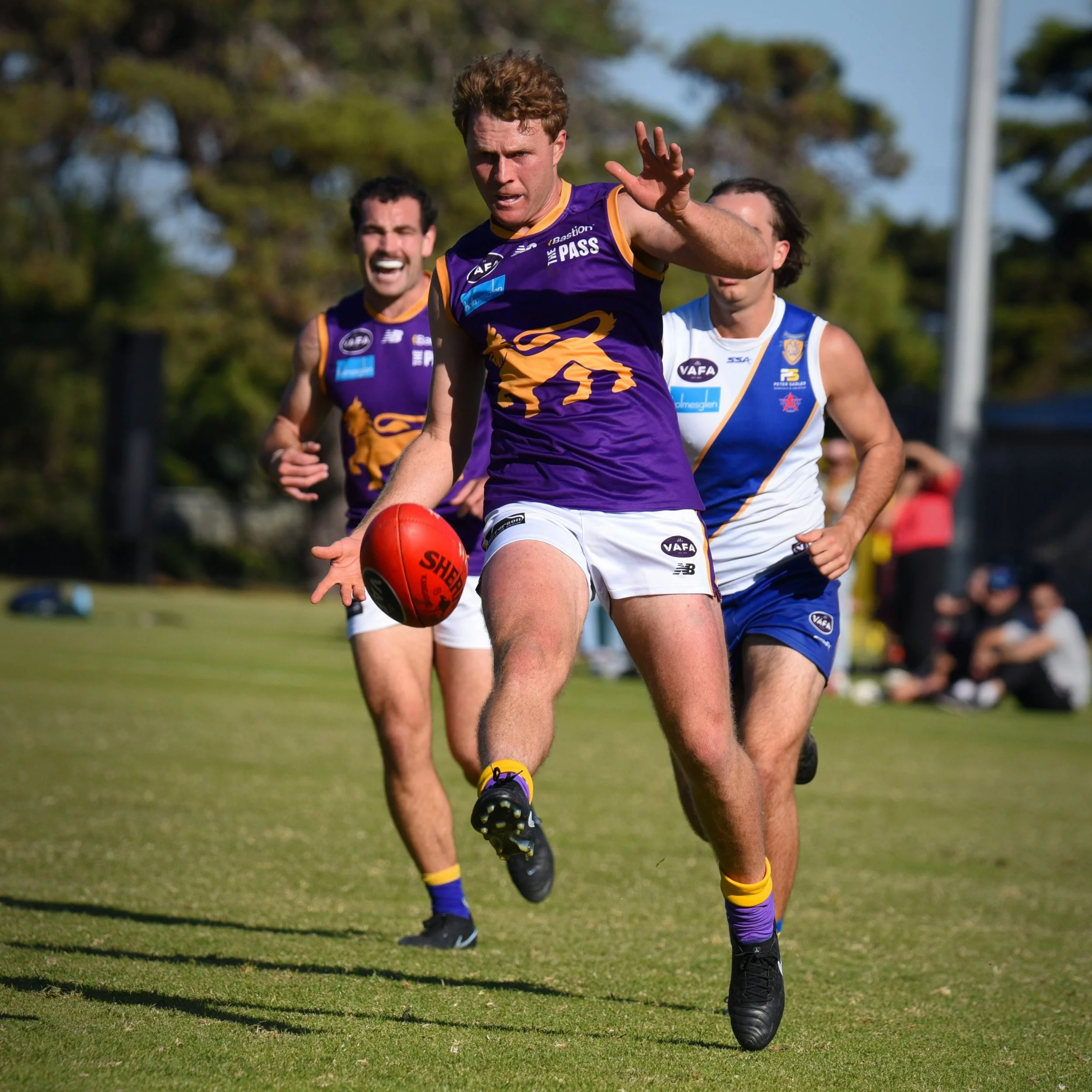 Campbell Walker .jpeg