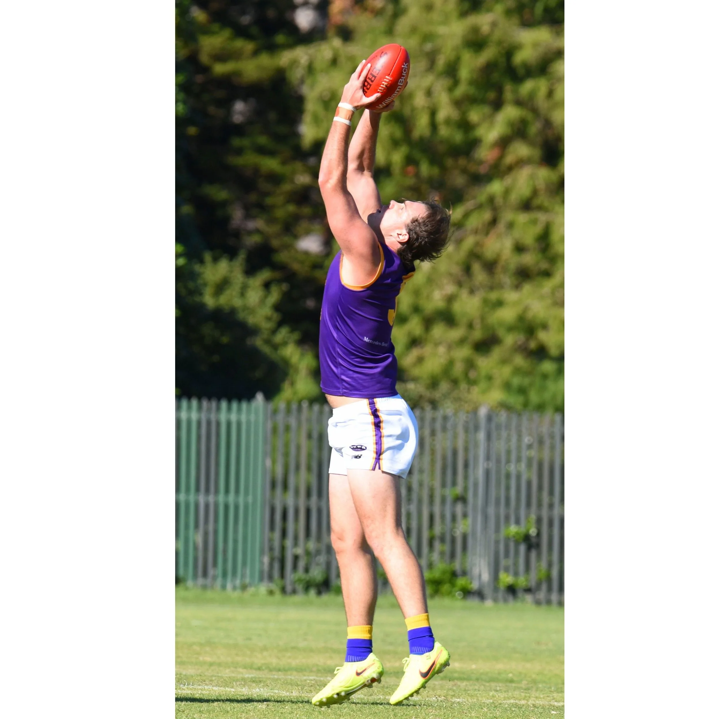 Hugh Johnson(1).jpeg