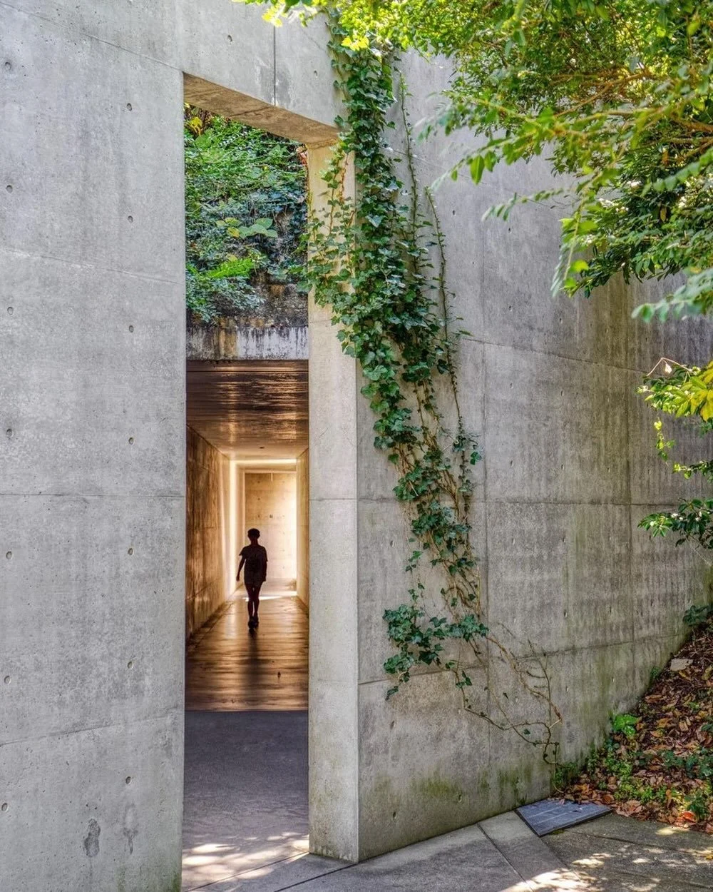 Chichu Art Museum  I  @tadao.ando 

&ldquo;𝘛𝘰 𝘤𝘳𝘦𝘢𝘵𝘦 𝘢𝘳𝘤𝘩𝘪𝘵𝘦𝘤𝘵𝘶𝘳𝘦 𝘪𝘴 𝘵𝘰 𝘦𝘹𝘱𝘳𝘦𝘴𝘴 𝘤𝘩𝘢𝘳𝘢𝘤𝘵𝘦𝘳𝘪𝘴𝘵𝘪𝘤 𝘢𝘴𝘱𝘦𝘤𝘵𝘴 𝘰𝘧 𝘵𝘩𝘦 𝘳𝘦𝘢𝘭 𝘸𝘰𝘳𝘭𝘥 𝘴𝘶𝘤𝘩 𝘢𝘴 𝘯𝘢𝘵𝘶𝘳𝘦, 𝘩𝘪𝘴𝘵𝘰𝘳𝘺, 𝘵𝘳𝘢𝘥𝘪𝘵𝘪𝘰𝘯 