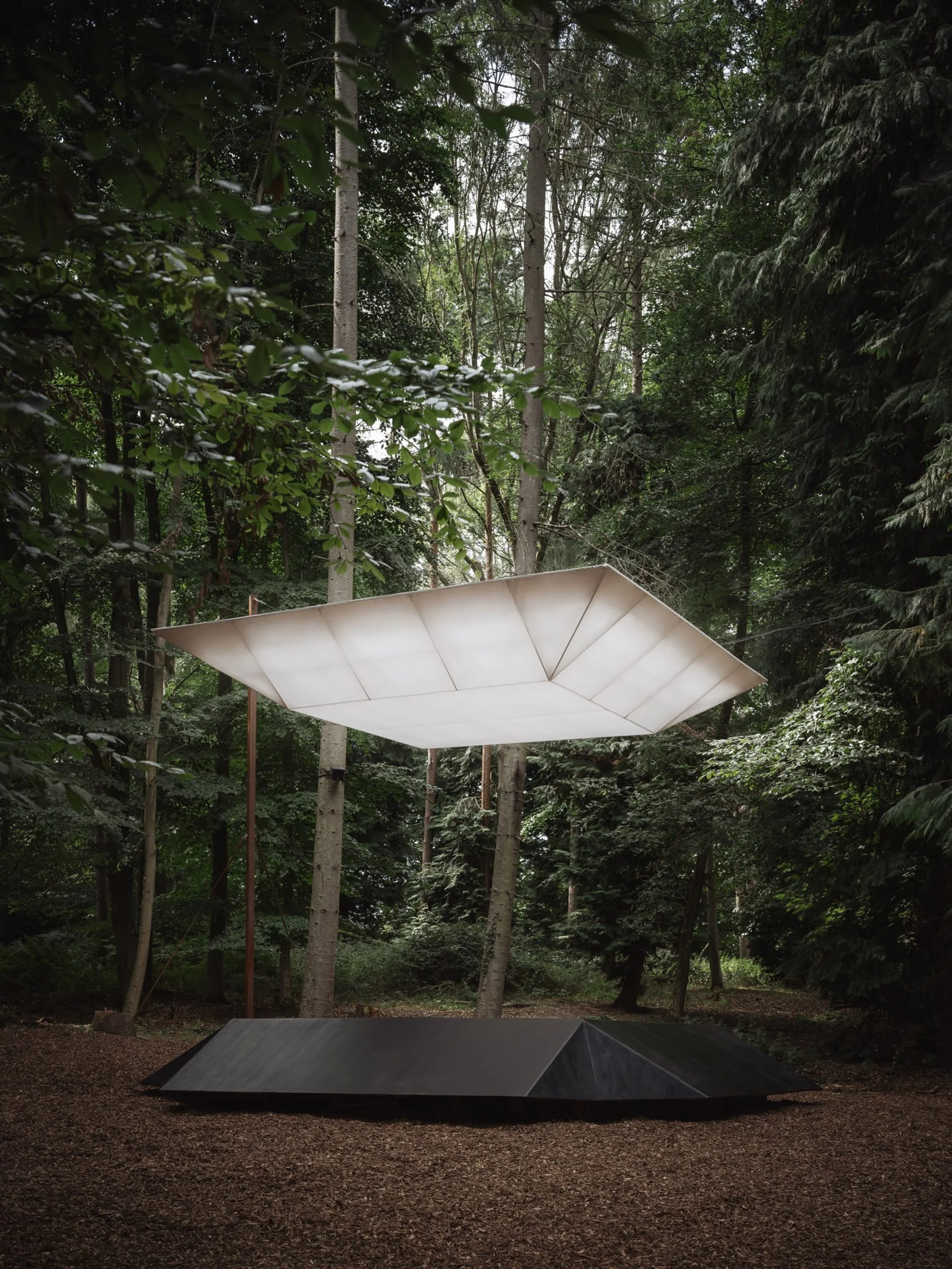 Pulse  I  @ebbaarchitects @bennieallain 

𝘈𝘯 𝘪𝘯𝘴𝘵𝘢𝘭𝘭𝘢𝘵𝘪𝘰𝘯 𝘸𝘩𝘦𝘳𝘦 𝘭𝘪𝘨𝘩𝘵, 𝘴𝘰𝘶𝘯𝘥 𝘢𝘯𝘥 𝘯𝘢𝘵𝘶𝘳𝘦 𝘳𝘦𝘴𝘱𝘰𝘯𝘥 𝘵𝘰 𝘰𝘯𝘦 𝘢𝘯𝘰𝘵𝘩𝘦𝘳.

___________________________________

#inspiration #contemporarydesign #artanddes