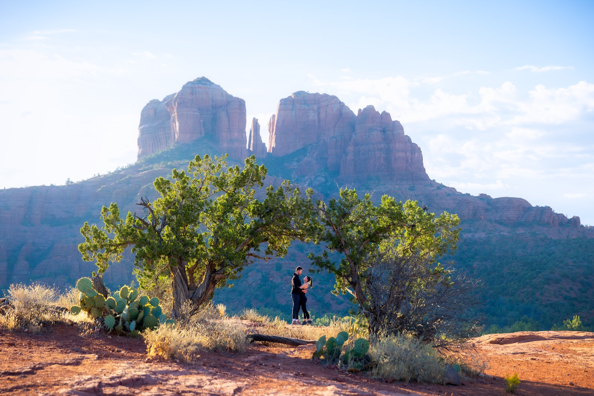 Sedona Milky Way, Photos