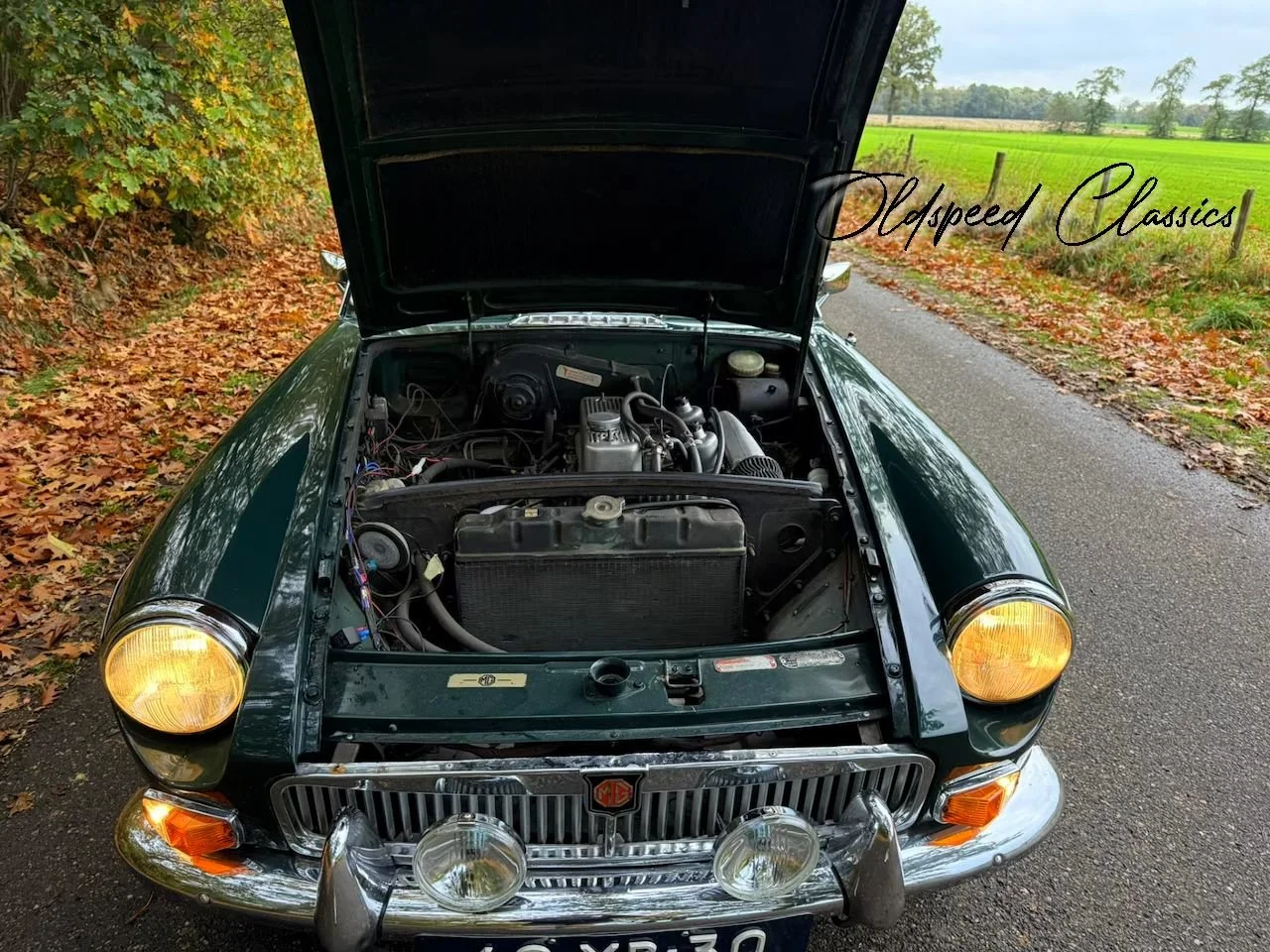 mgb gt engine.jpg
