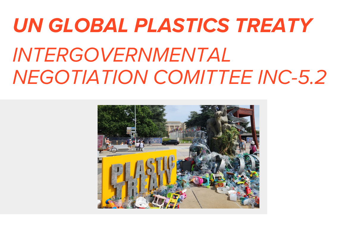 The UN Global Plastics Treaty - Intergovernmental Negotiating Committee on Plastic Pollution - 2025