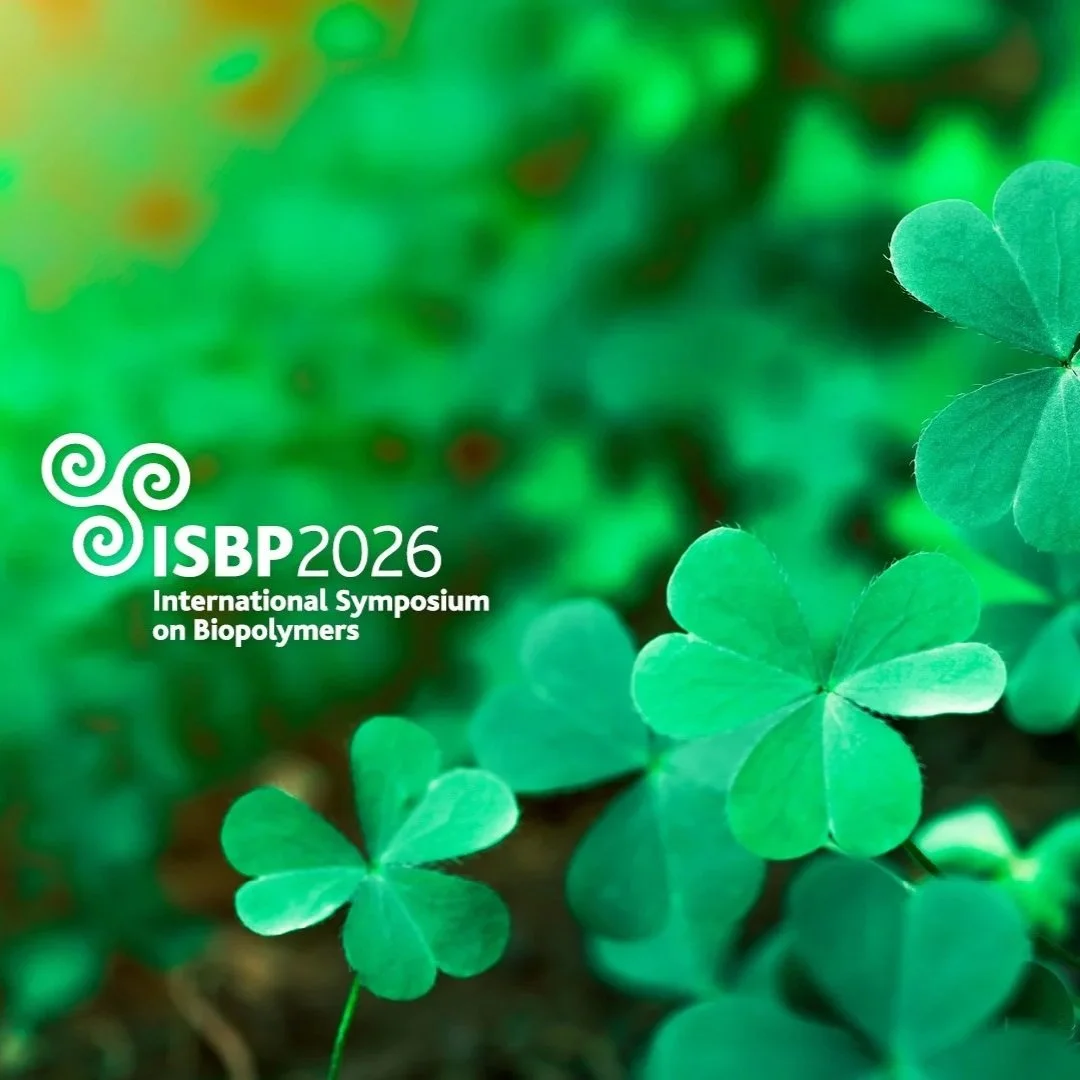 ISBP2026
