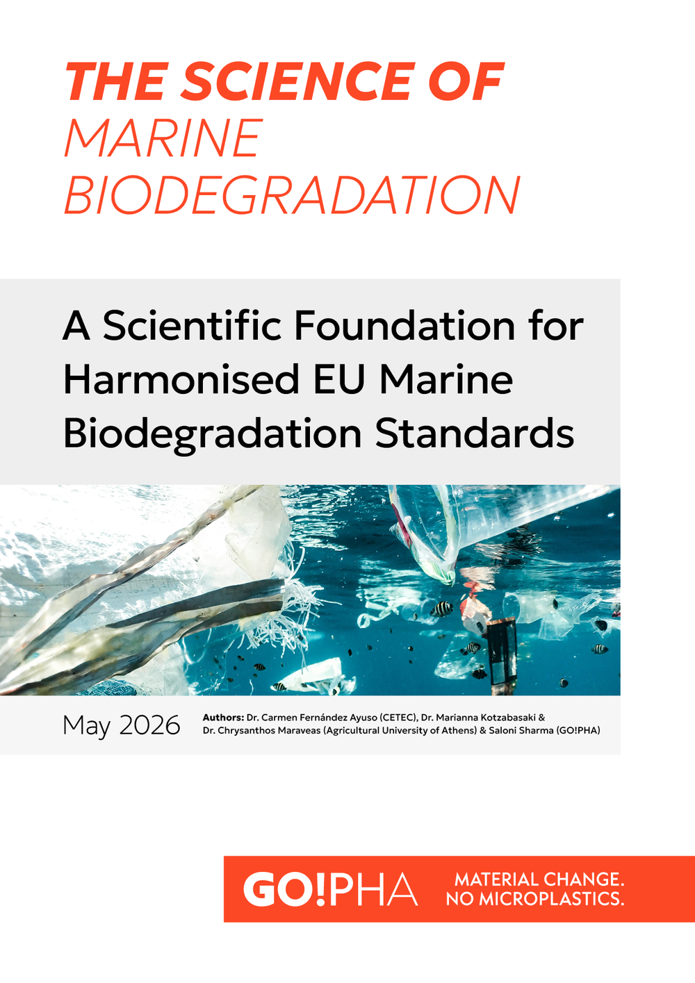 The Science of Marine Biodegradation - A State-of-Science Assessment ...