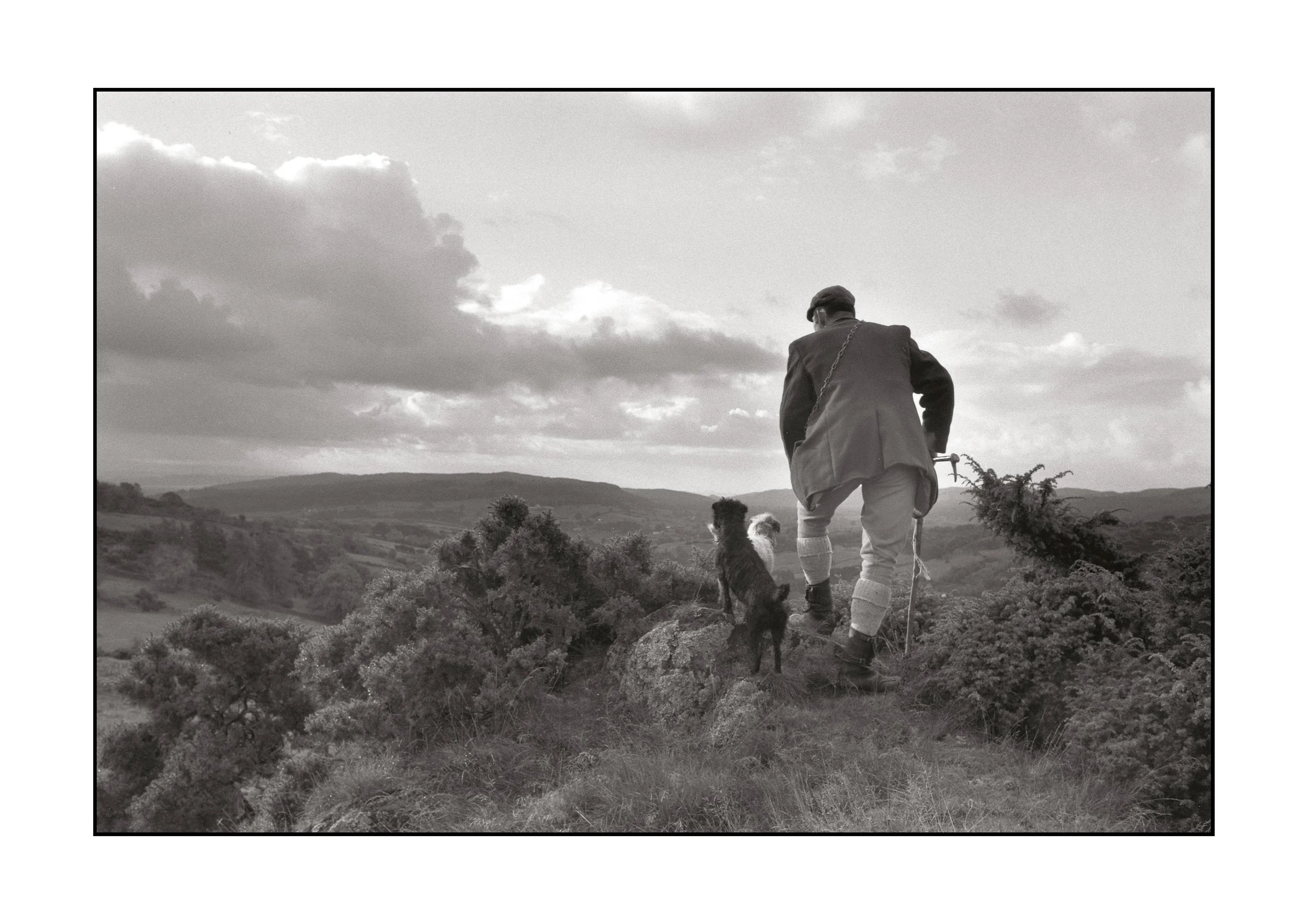 Coniston Huntsman.jpg