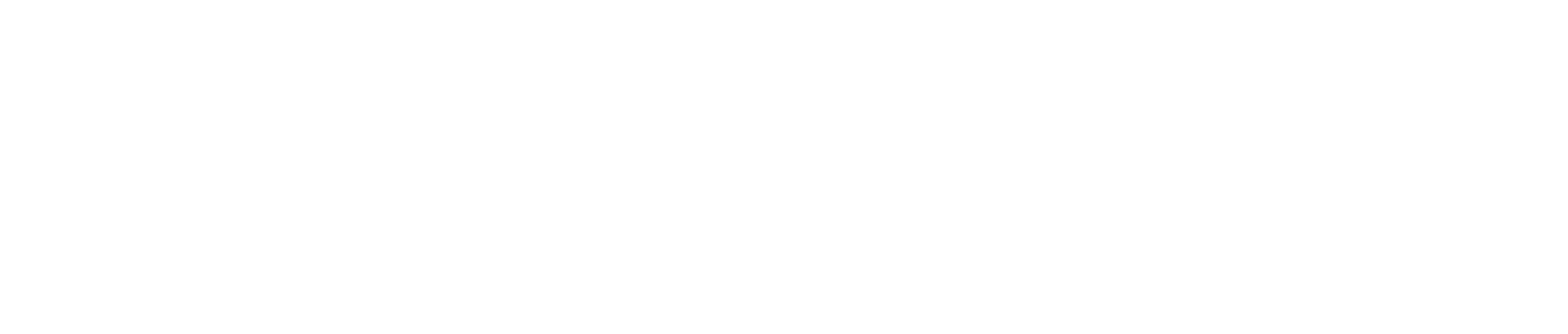 Aresz Project Professionals