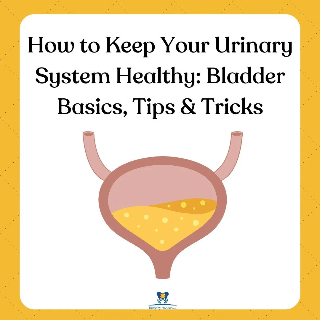 bladder health pelvic floor physical therapy edina minnesota