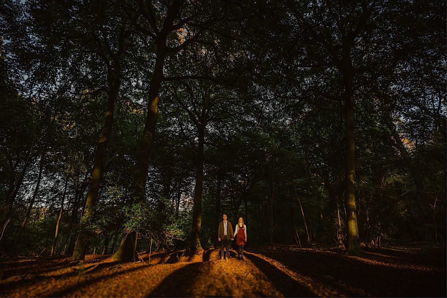 14_TWS-91_couple_autumn_engagement_sunset_shoot_henley_photography_woodland_wedding.jpg