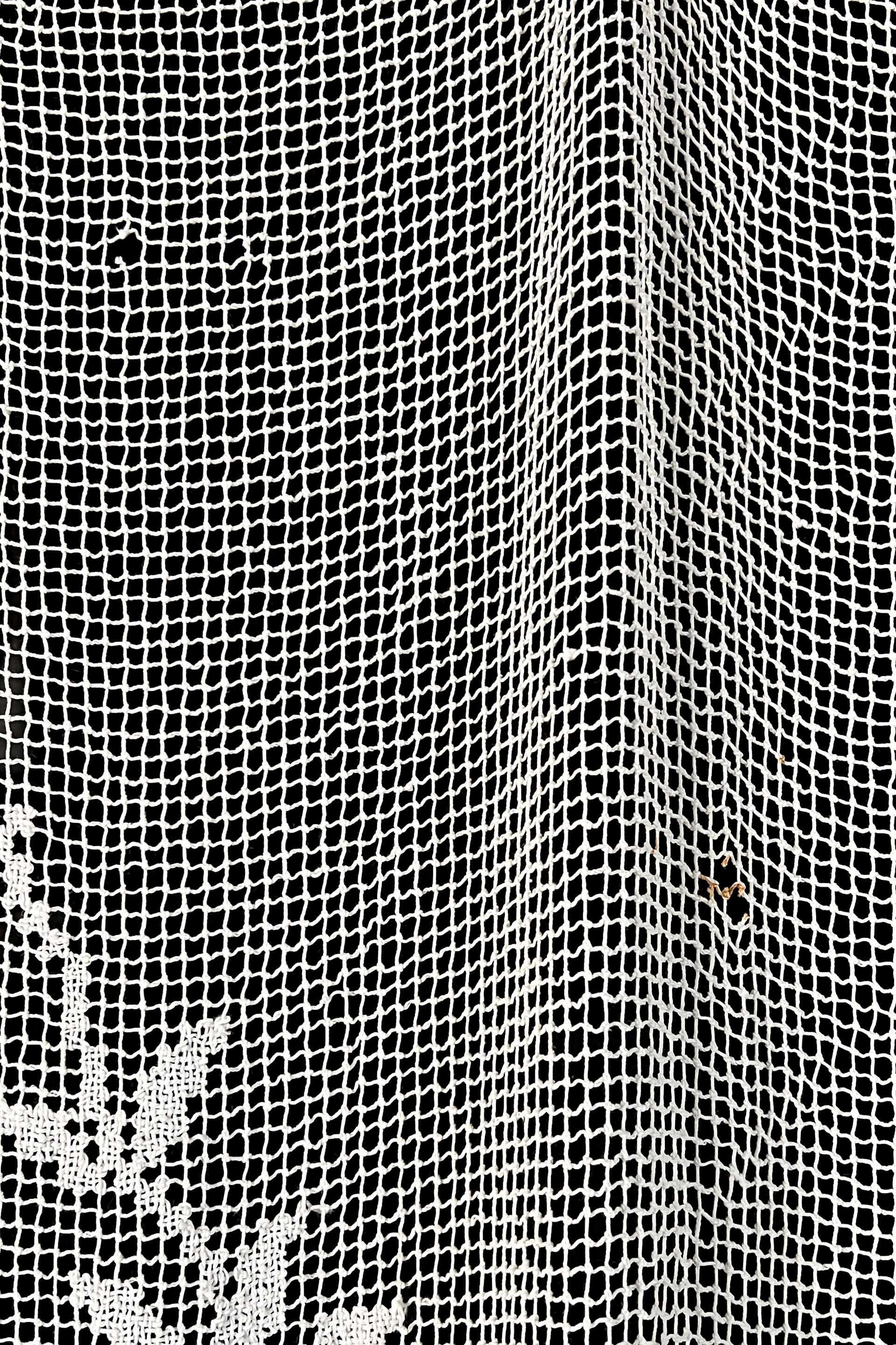curtain net8.jpg