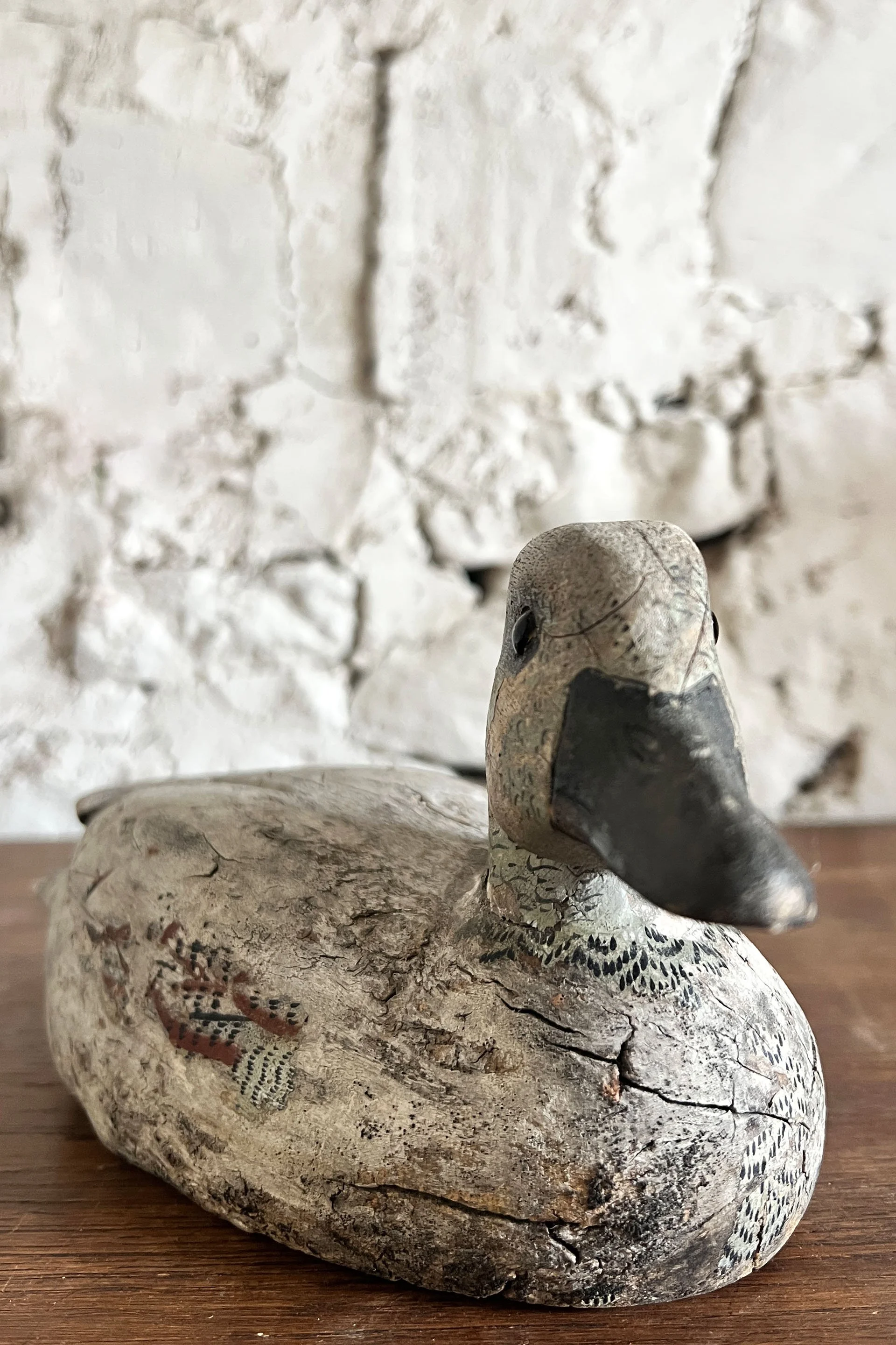 belguimduck10.jpg