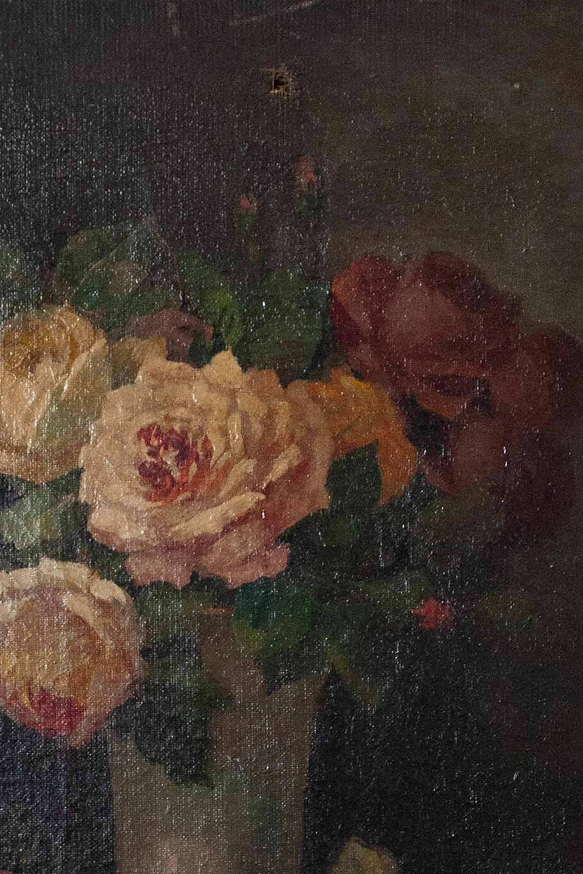 rosescamra3.jpg