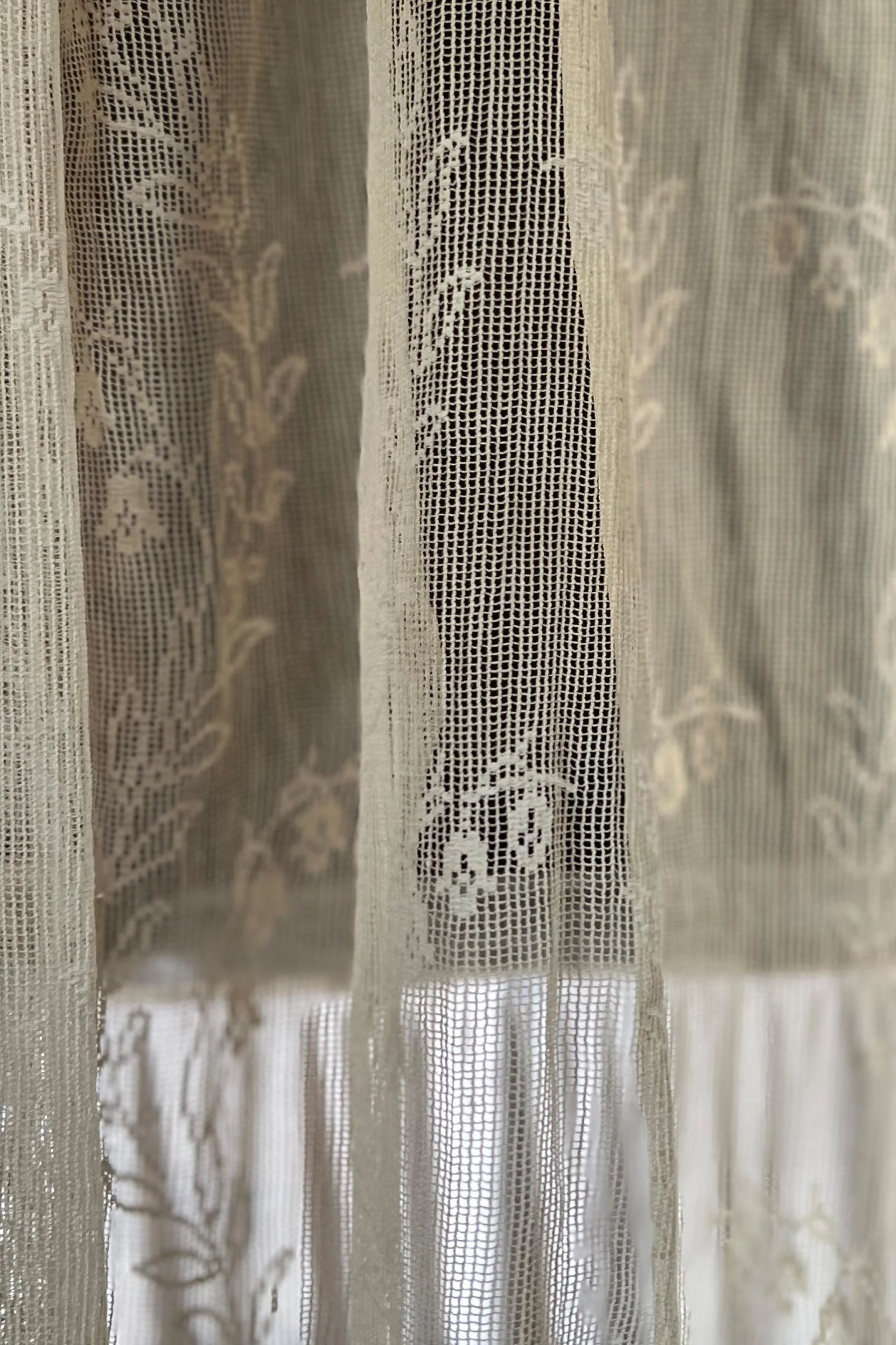 curtainbluebell7.jpg
