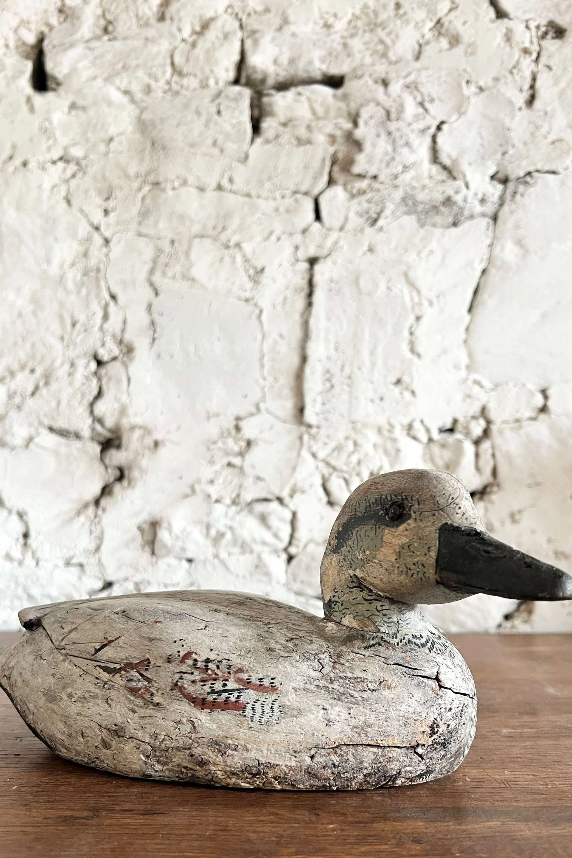 belguimduck3.jpg