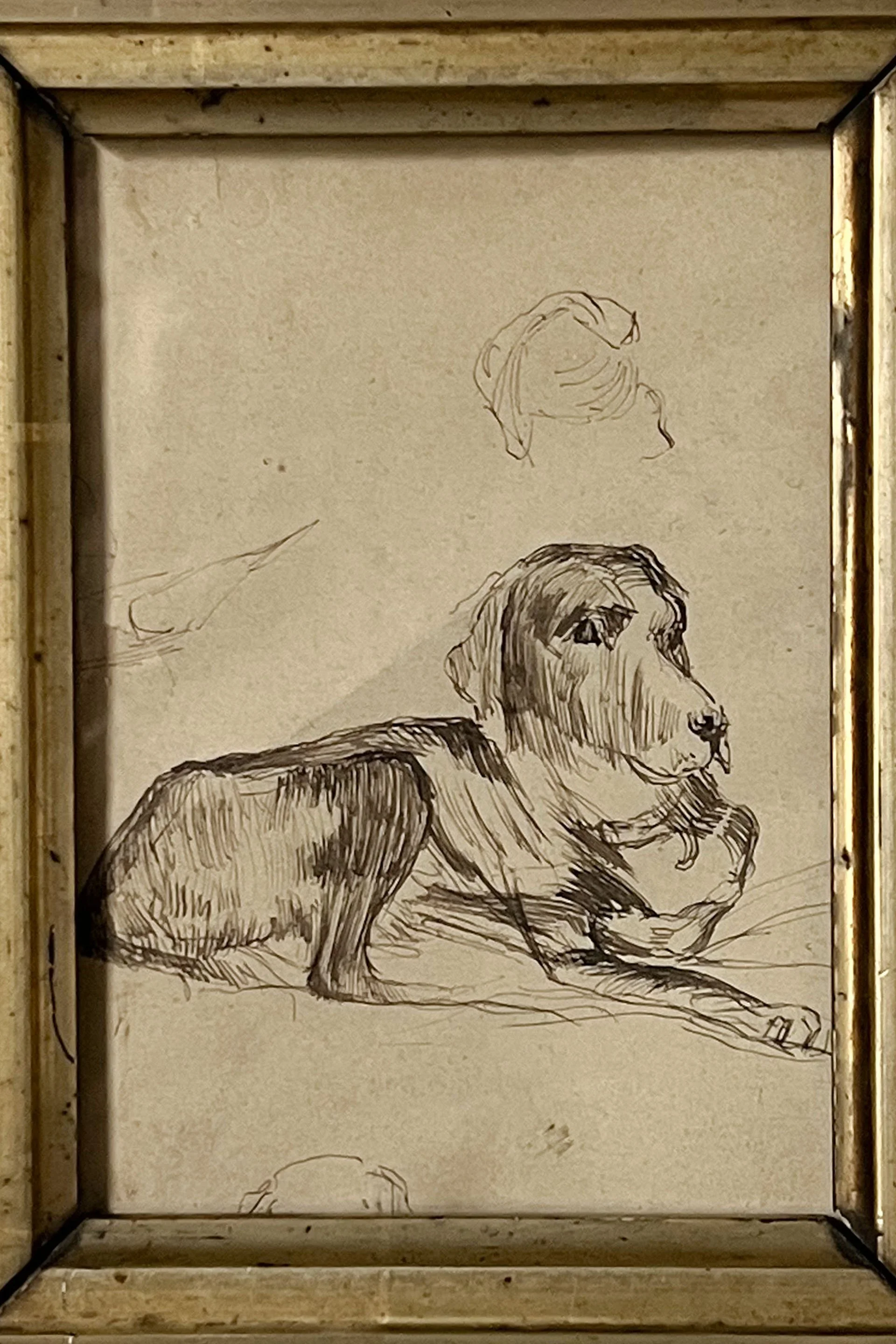 dog sketch frame2.jpg