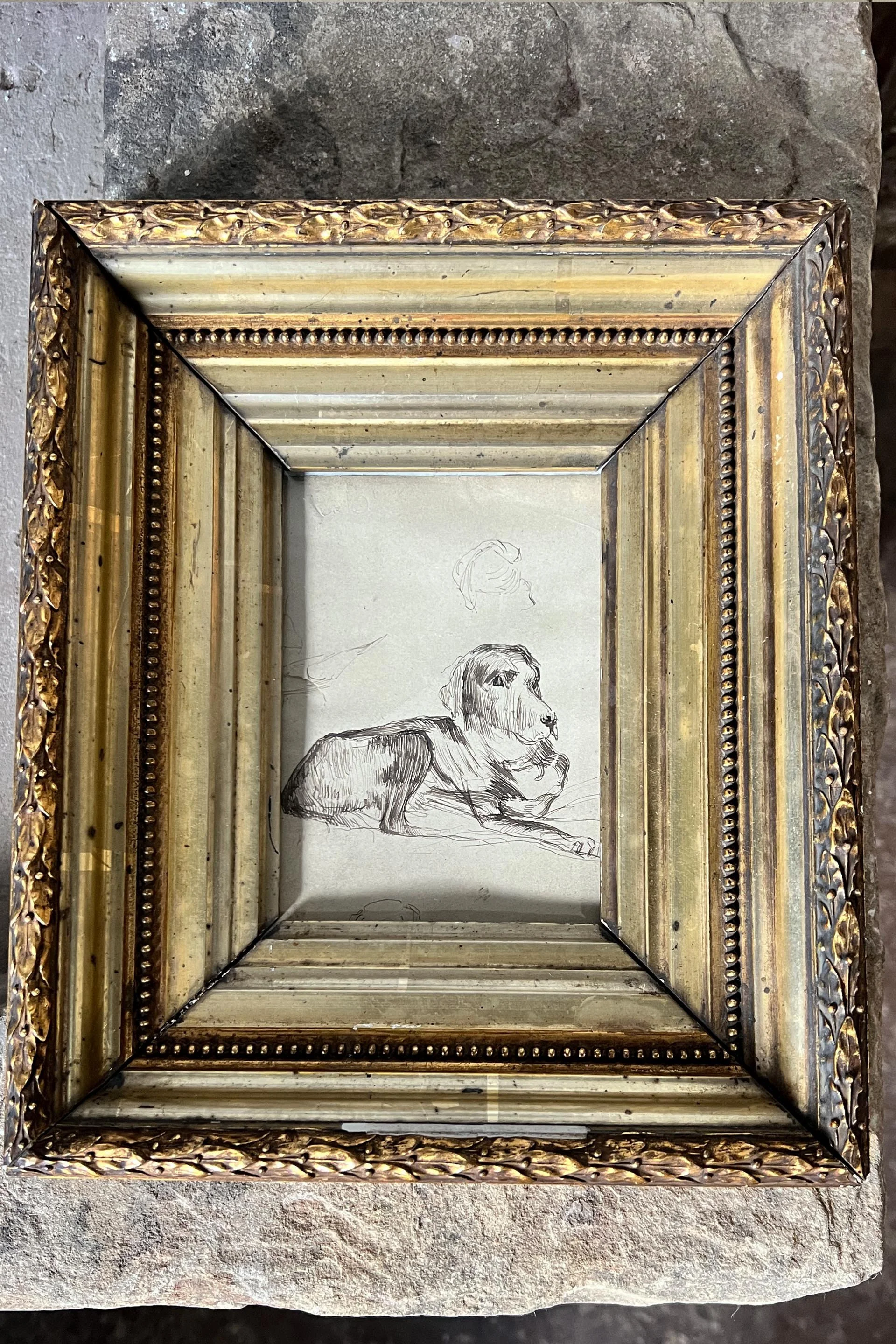 dog sketch frame4.jpg