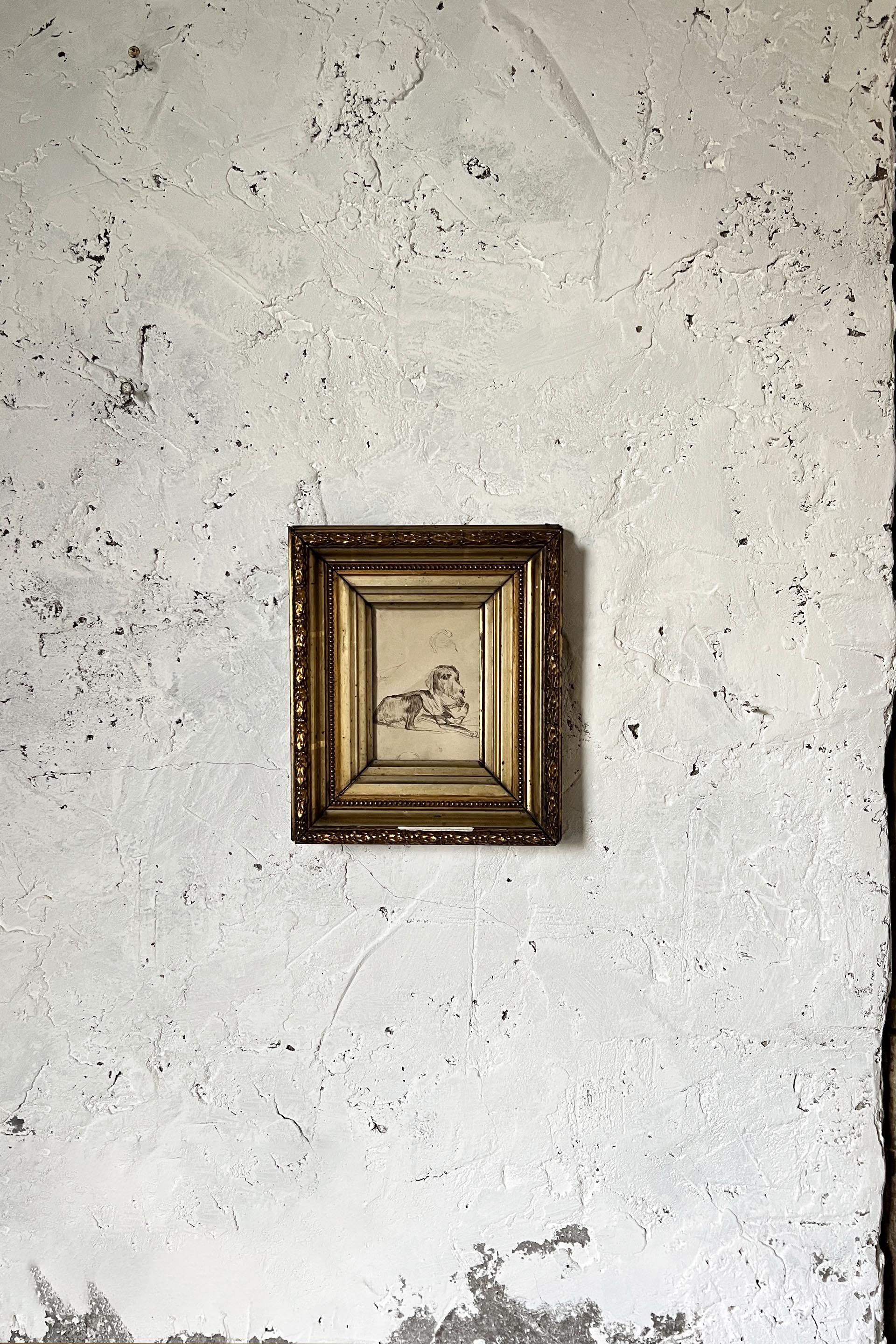 dog sketch frame3.jpg