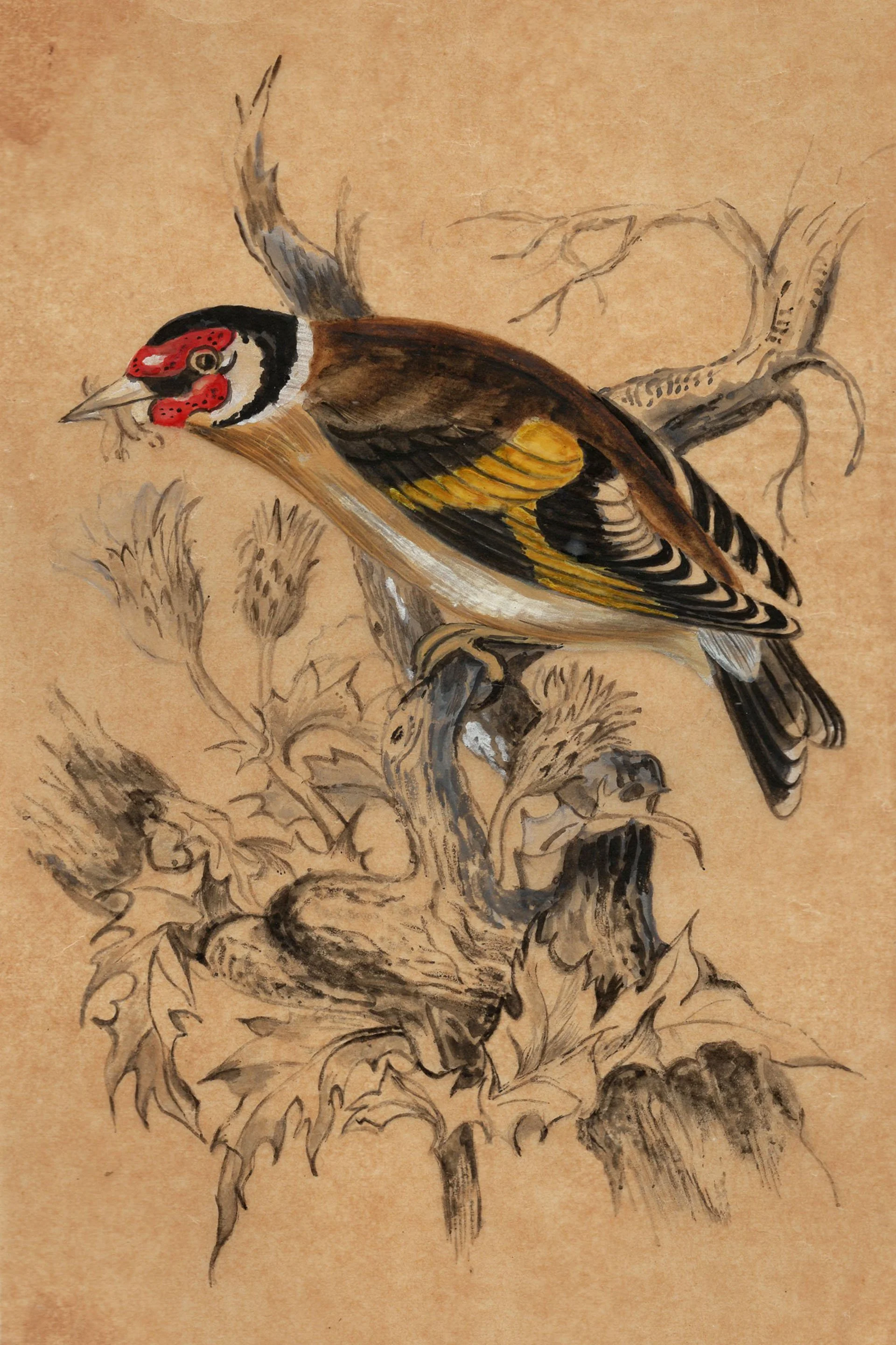 4_0000_img20260421_10034572 copy.jpg