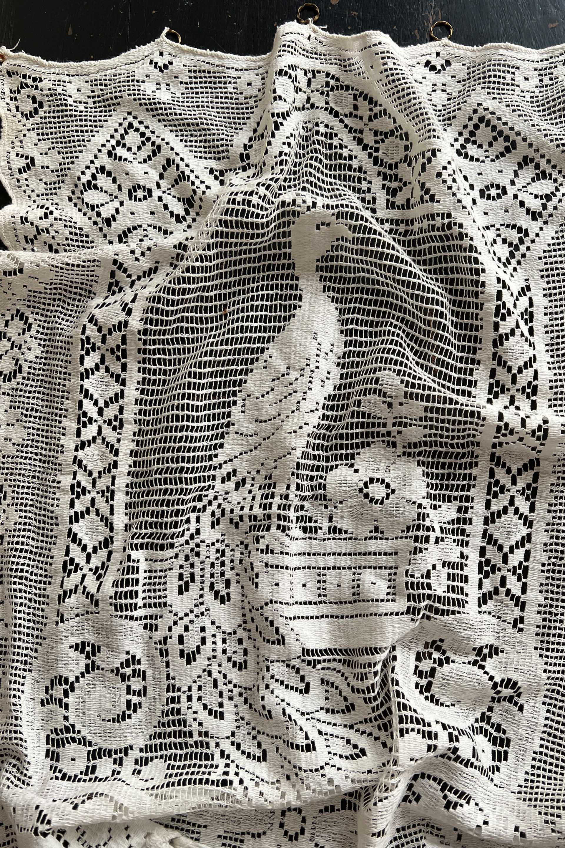 bird curtain.jpg