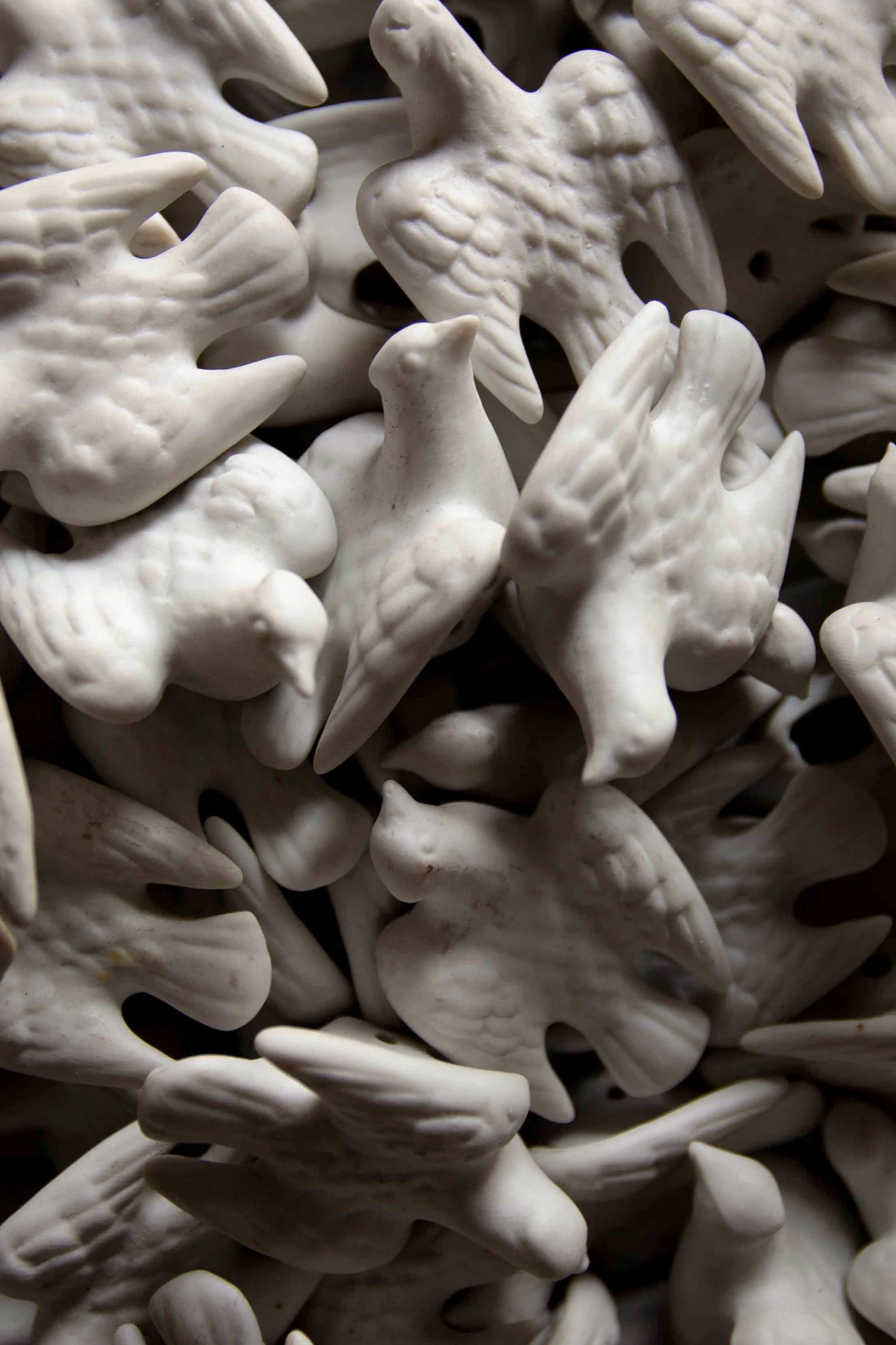 doves5.jpg