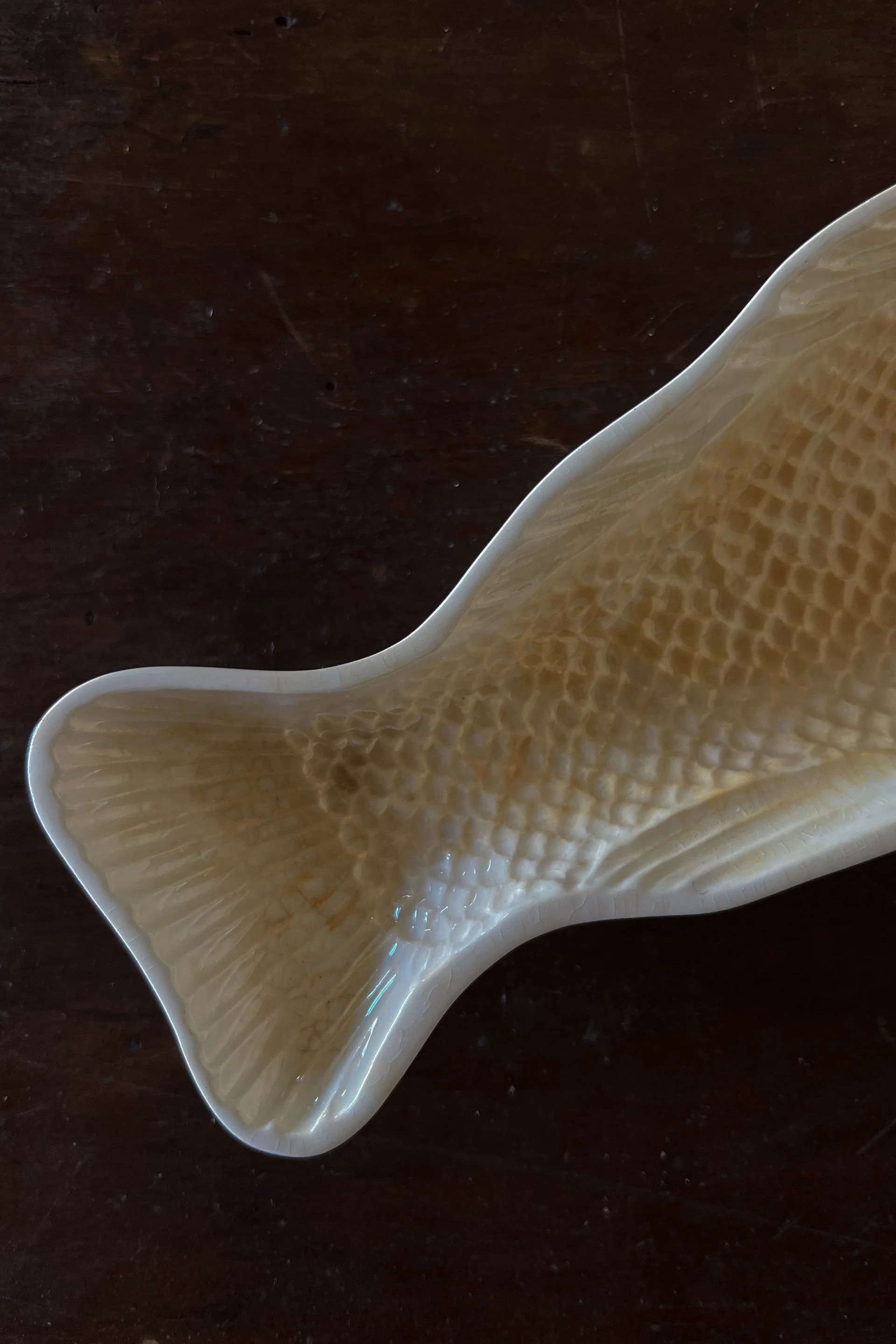 fishstone3.jpg