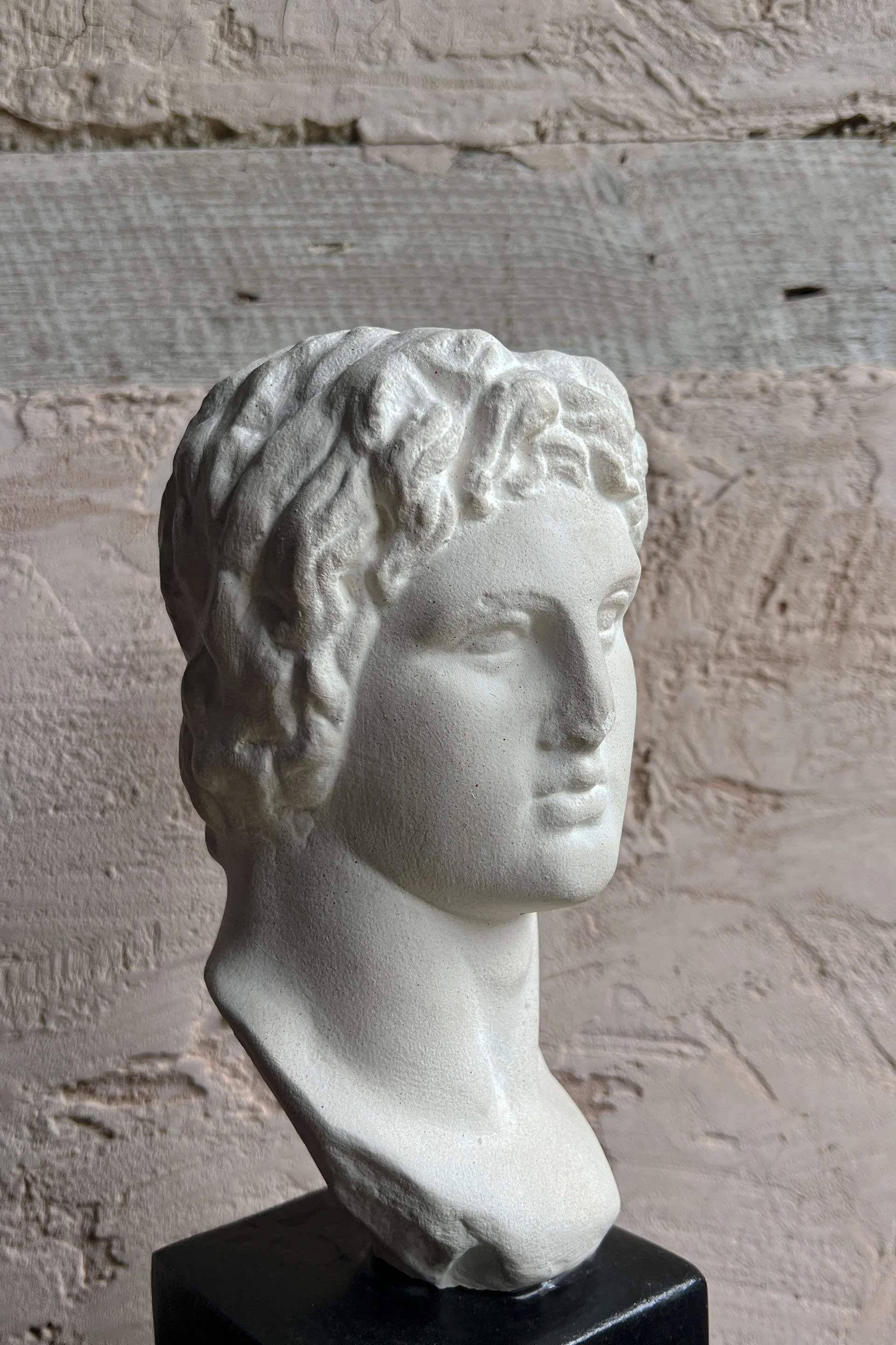 head2.jpg