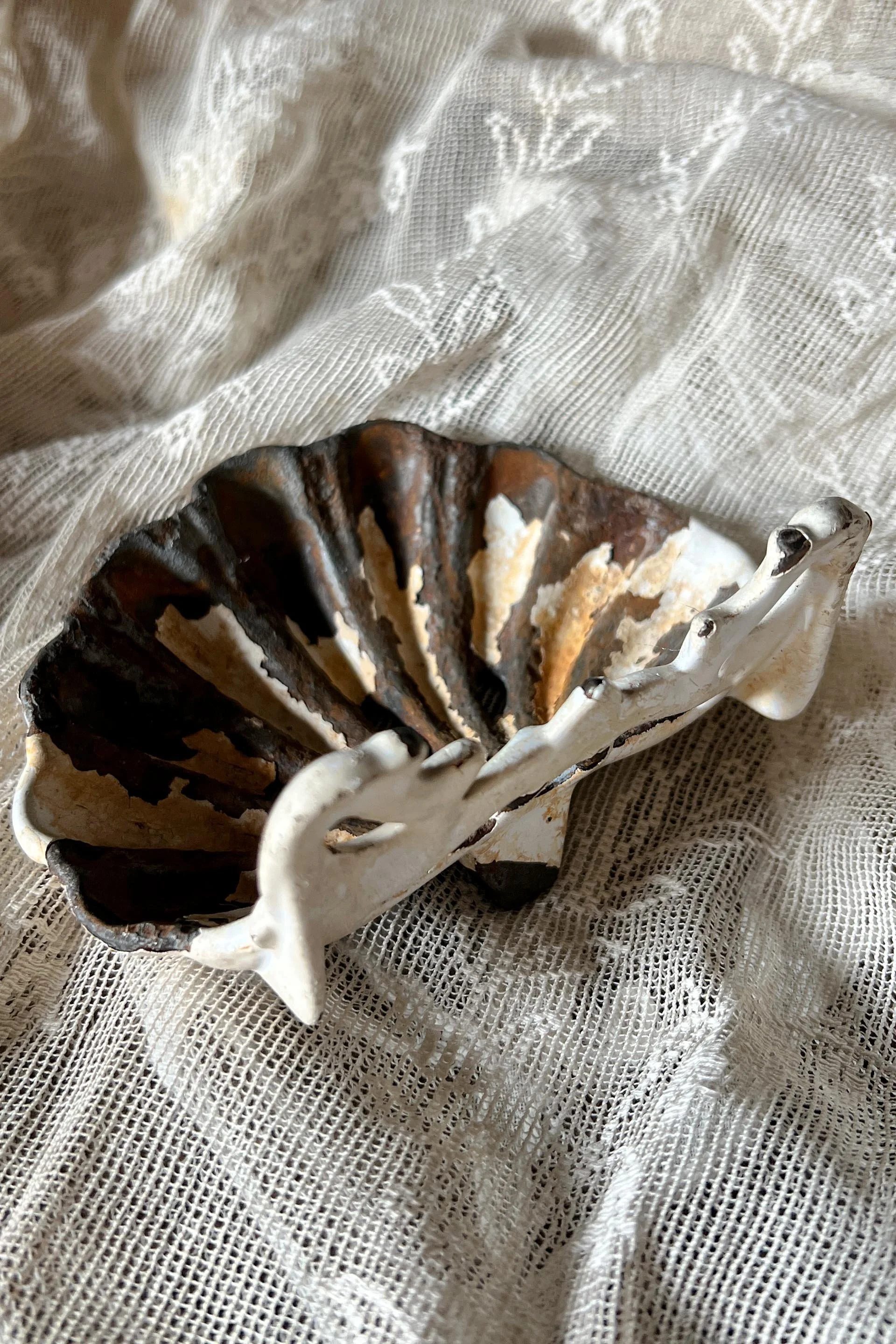 soapdish5.jpg