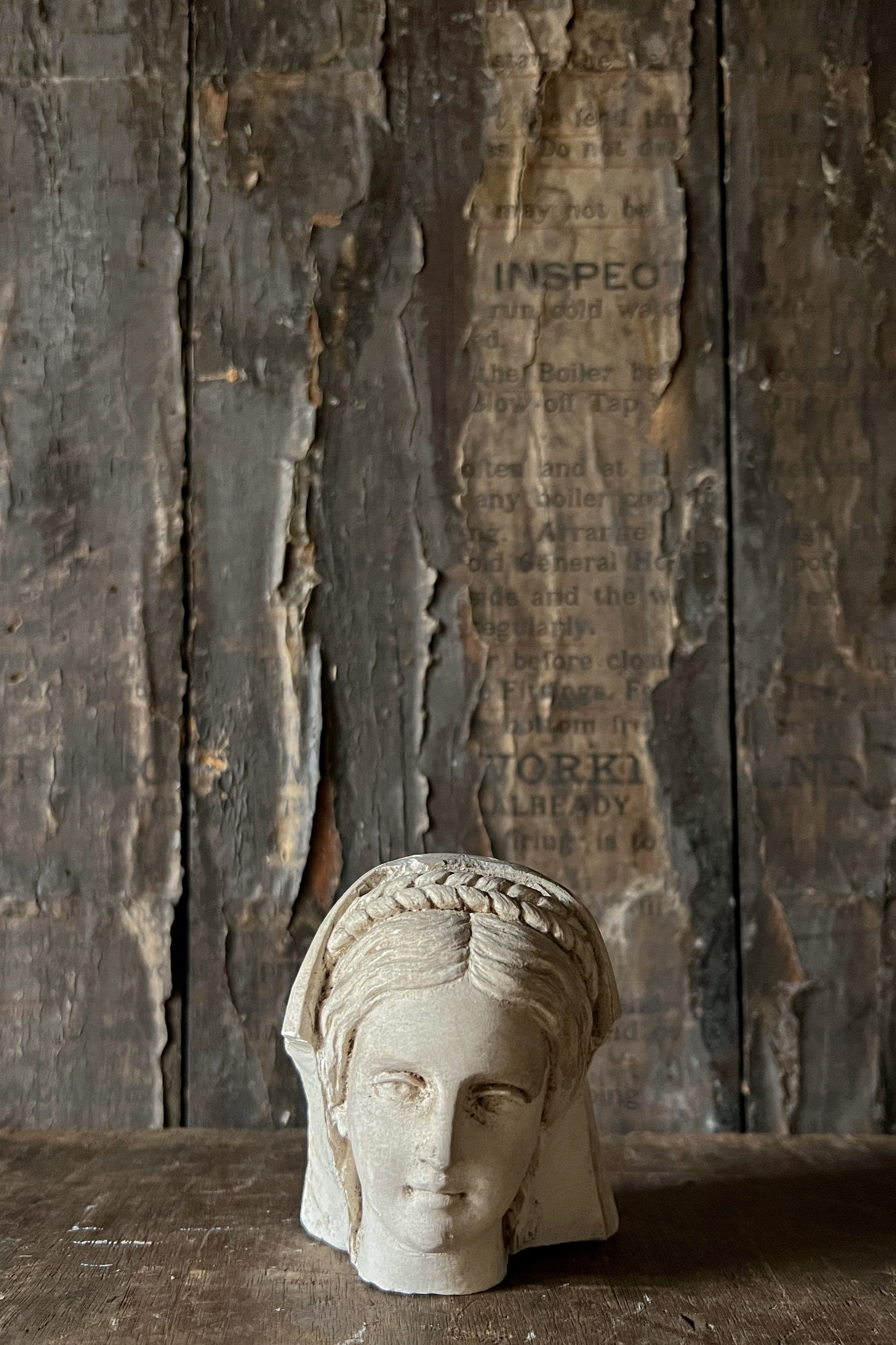 plasterhead3.jpg