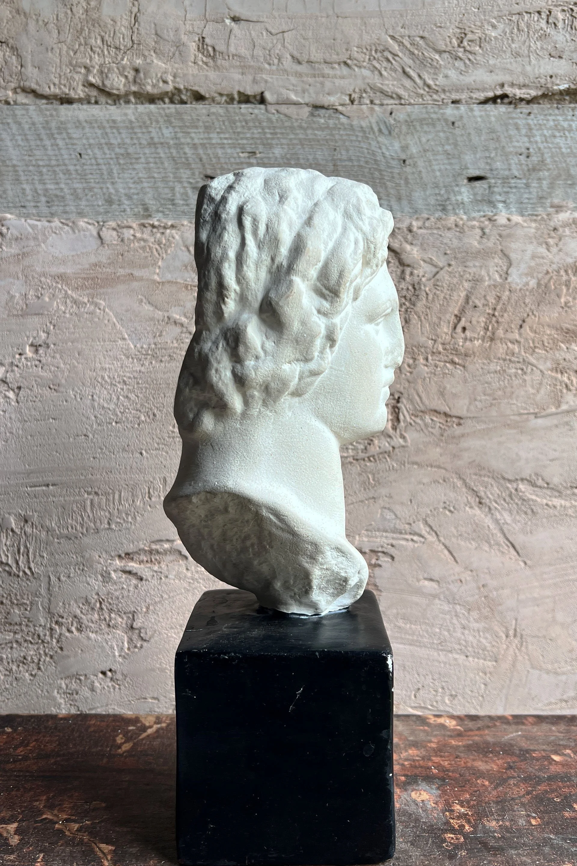 plasterhead5.jpg