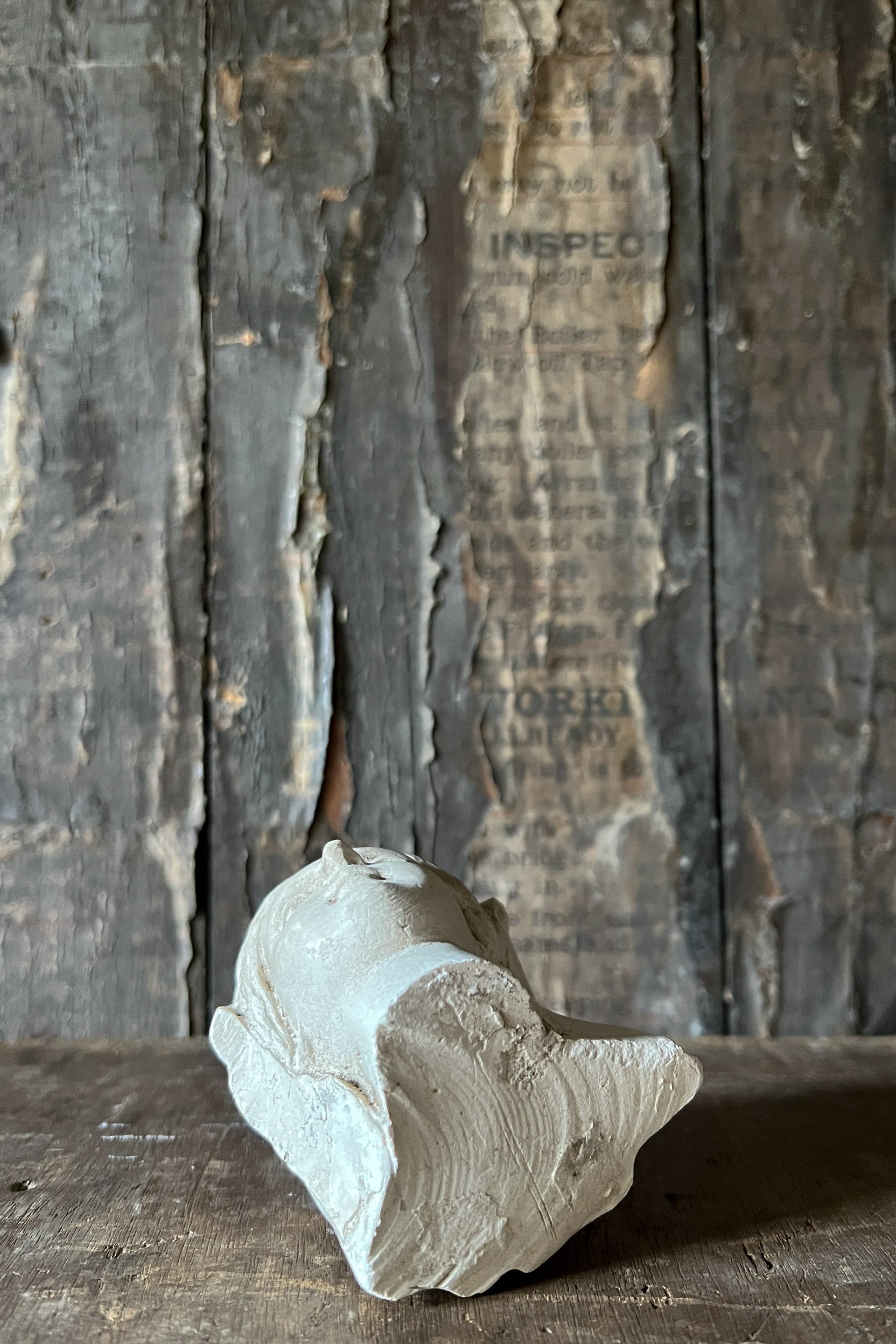 plasterhead4.jpg