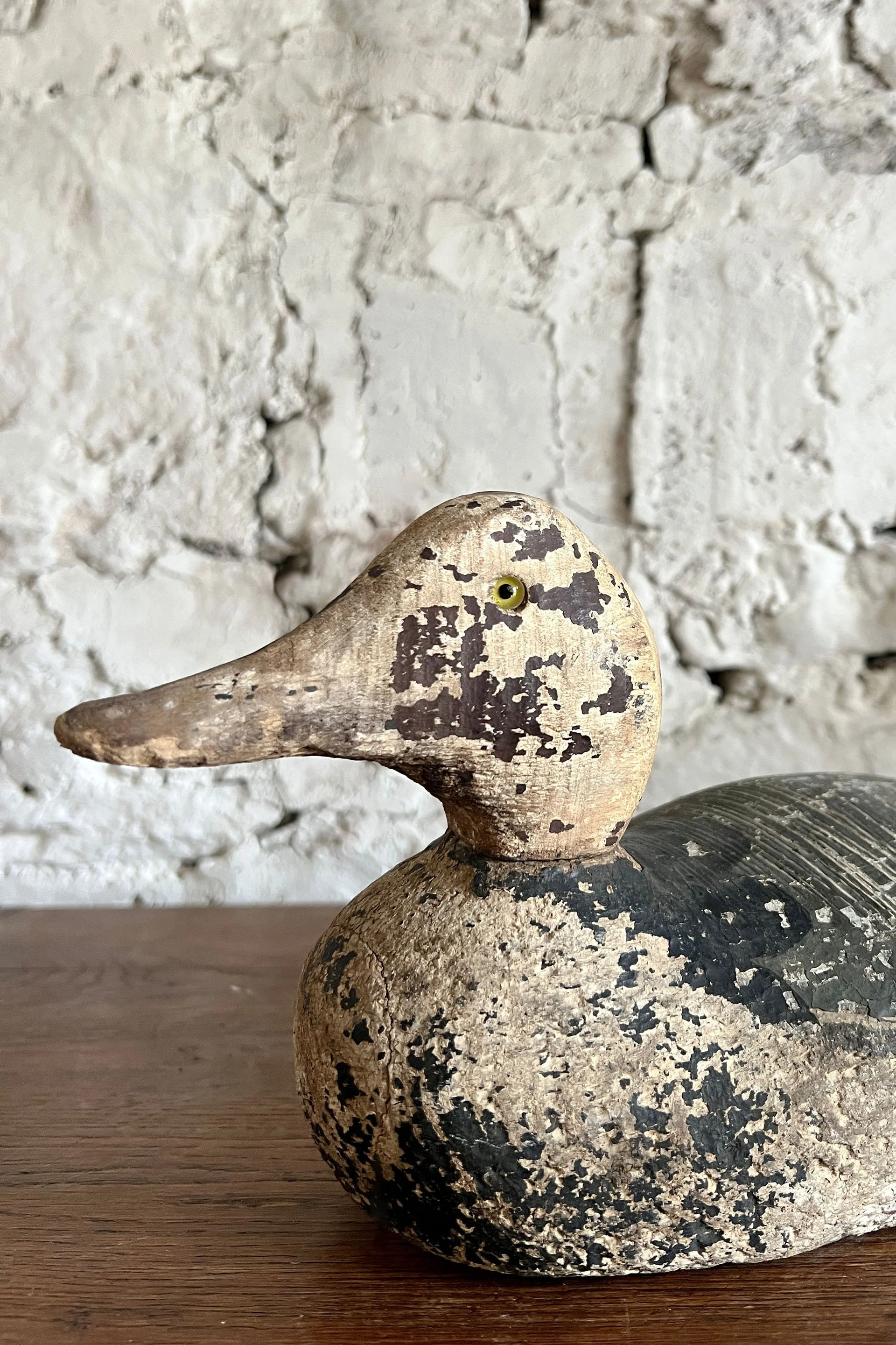 begfiduck.jpg