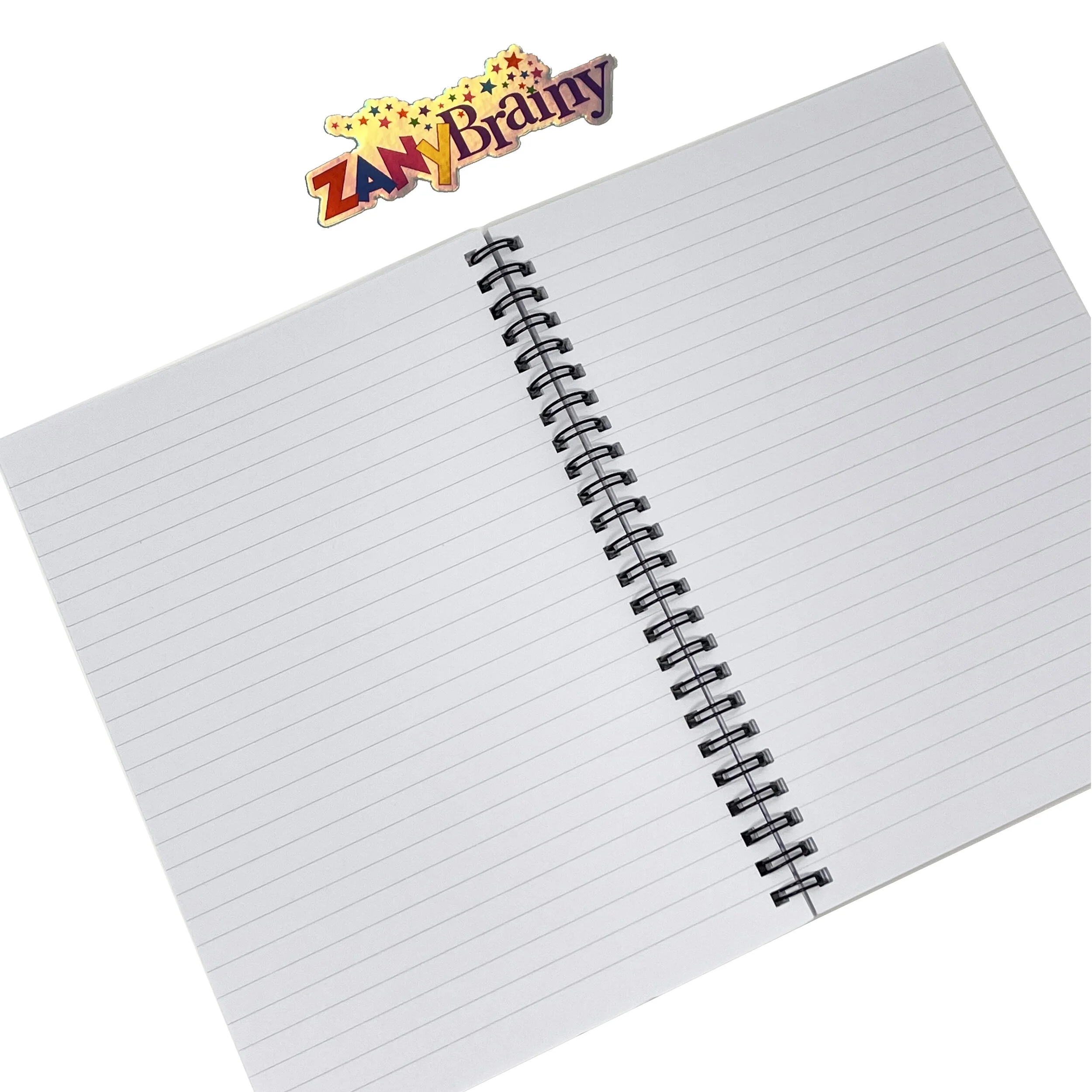 Zany Notebook Open.jpg