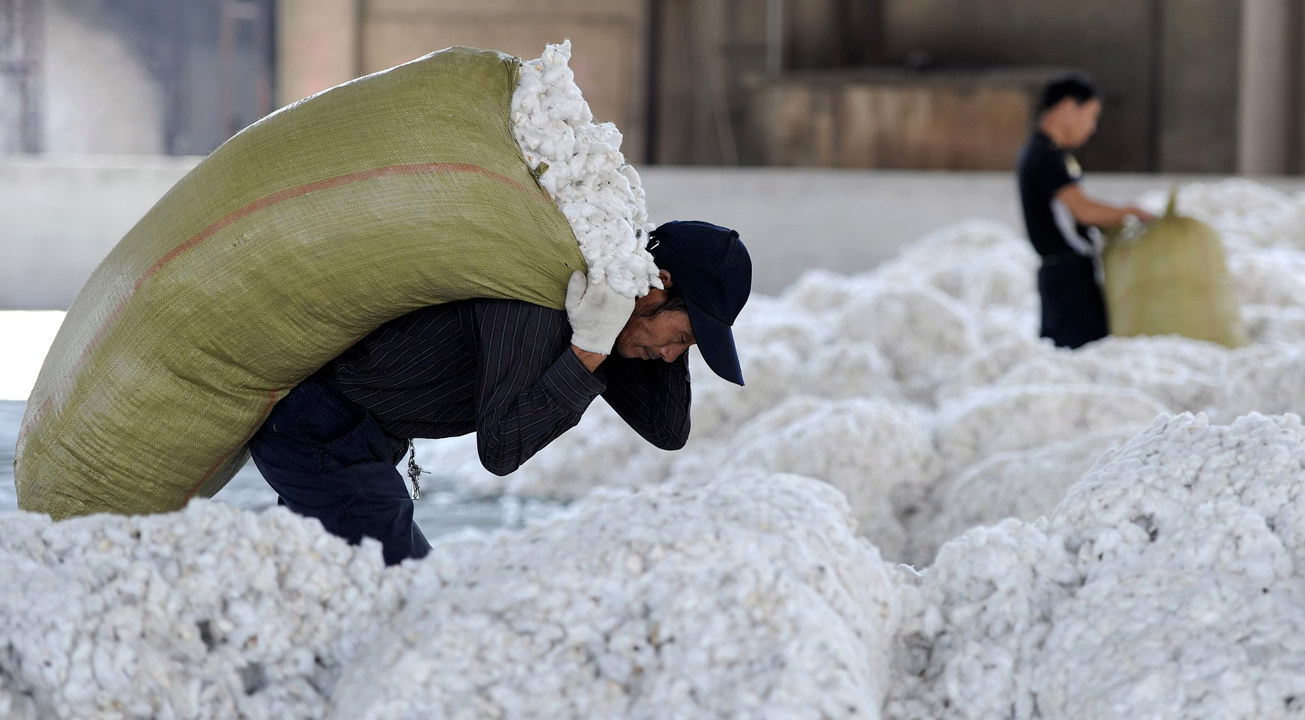 Trace Planet — The Dark Side of the Cotton Industry