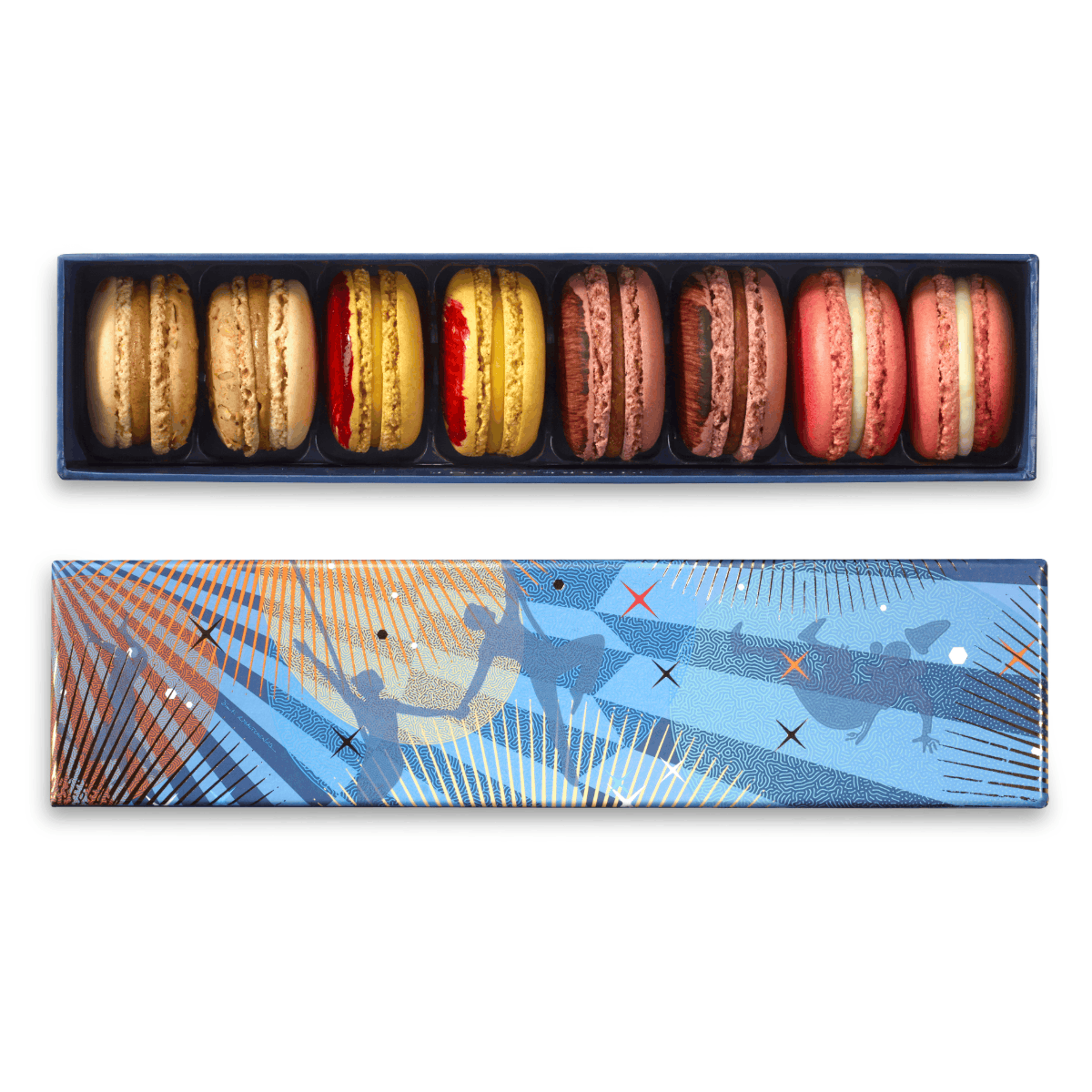 8 Macarons Invisible Christmas Box - Pierre Hermé Paris