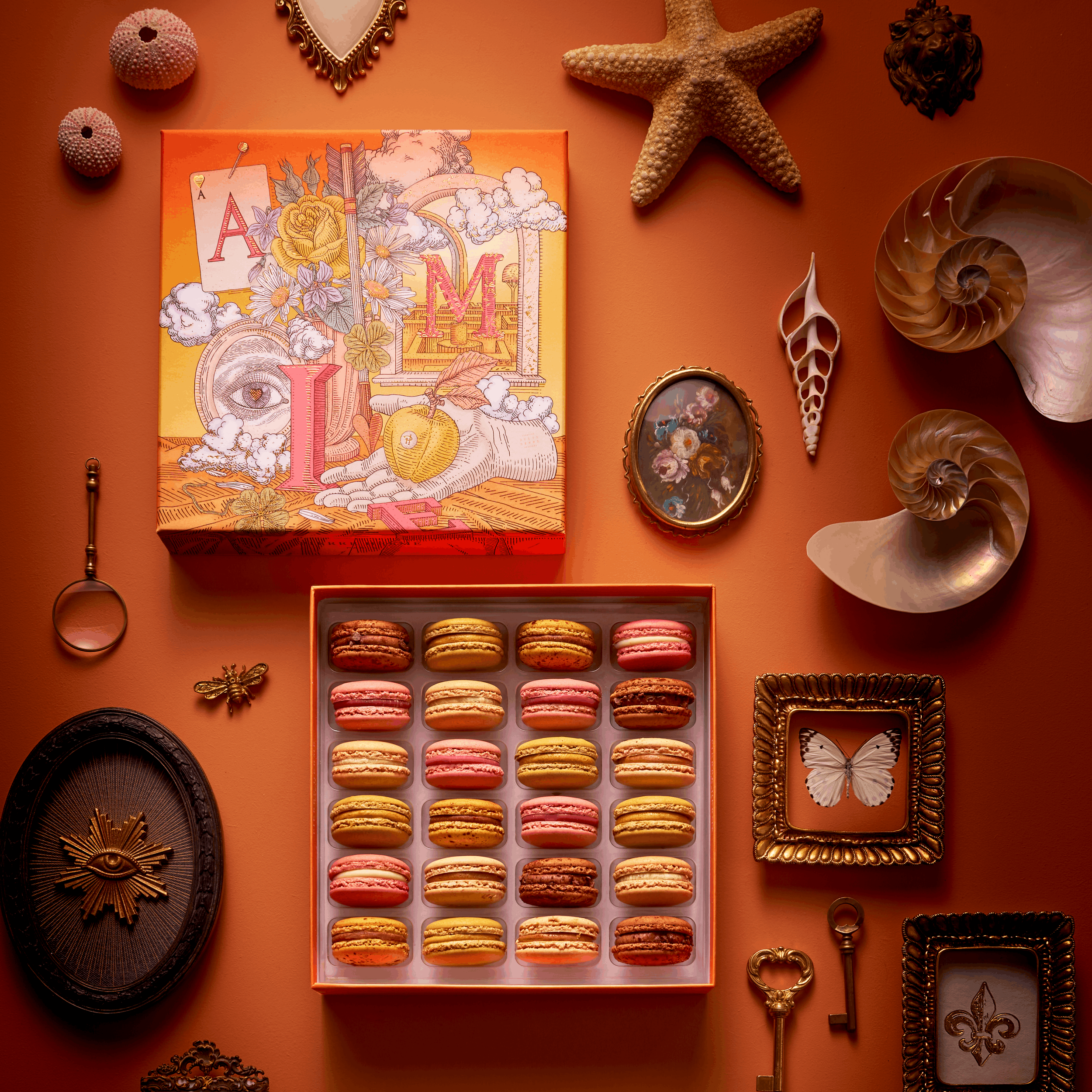 24 Macarons Box - Julie Serre