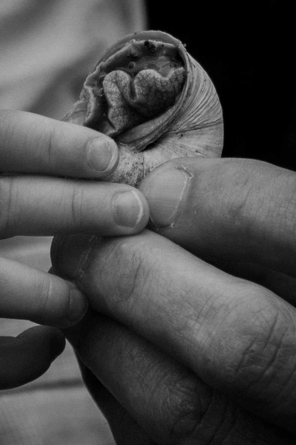 BHcs_2024_Geli&Kristof (45).jpg