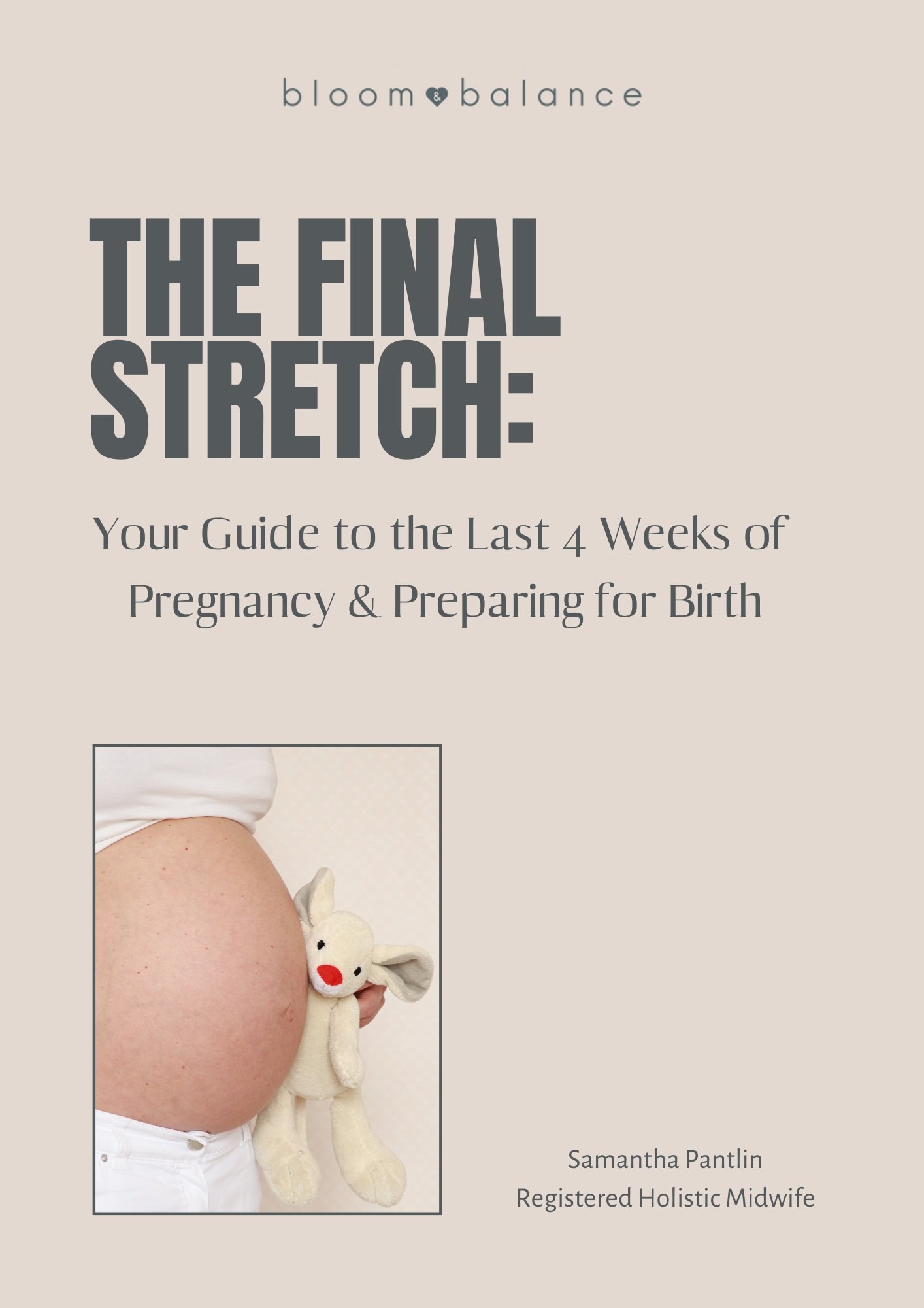 The+Final+Stretch+cover.jpg