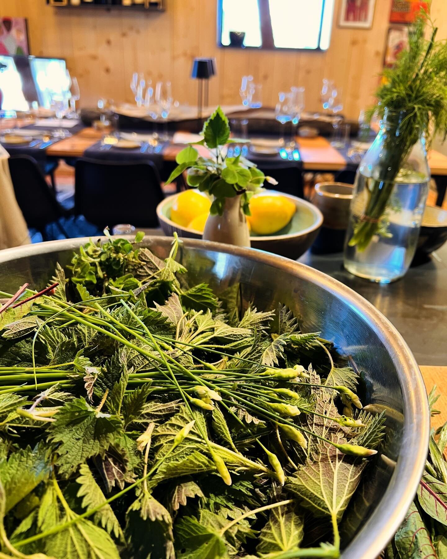 ABOUT LAST NIGHT 

A great group of wine lovers enjoyed a 4 course foraging wine pairing dinner in our @babarolo event room.  From local smoked trout to ramps, sorrel and nettles from the floor of the Black Forest, Piemonte hazelnuts and wines from @