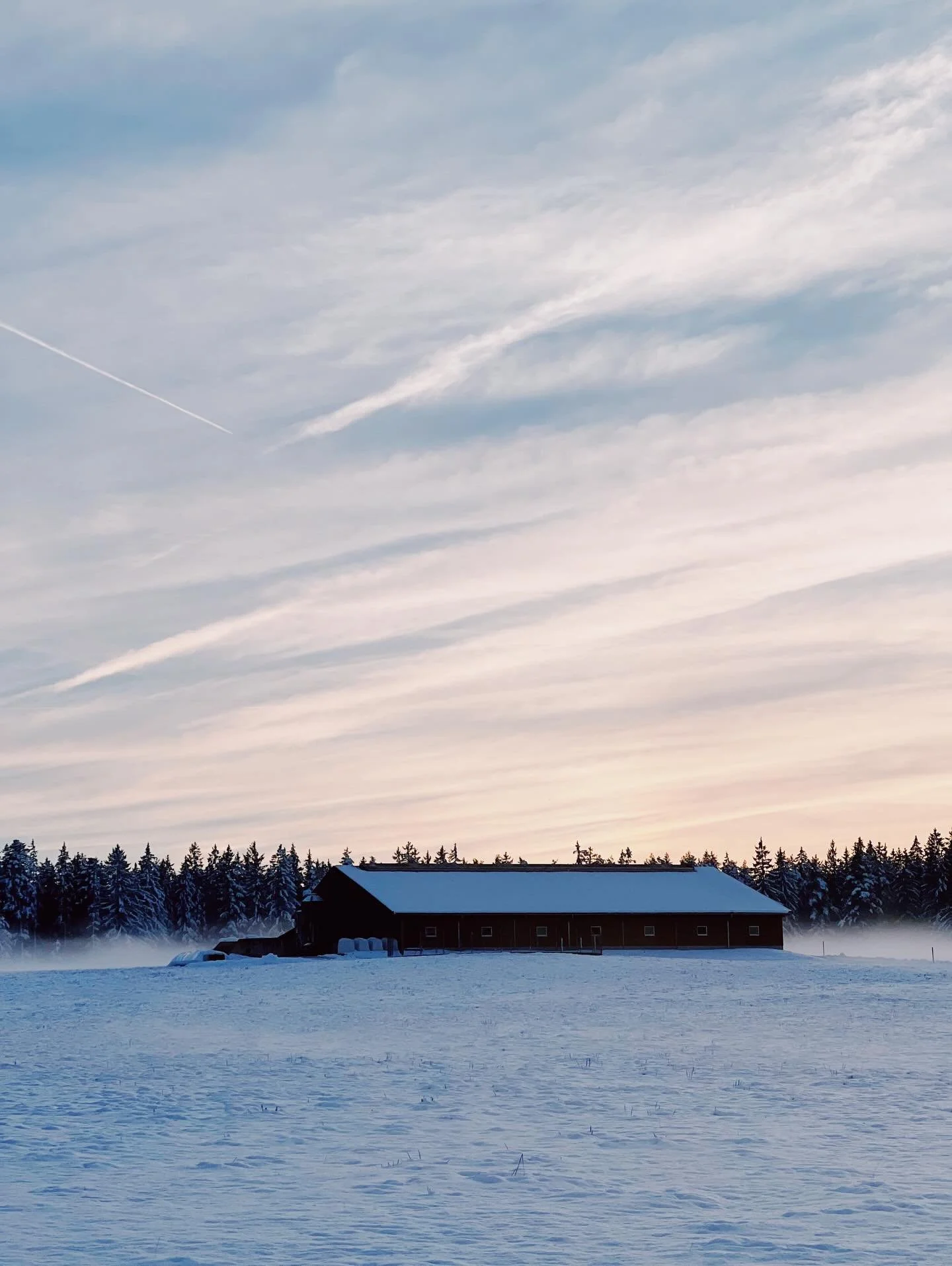 Happy Thanksgiving 🧡

We decided to take a ride deeper into the Black Forest today - to beautiful K&ouml;nigsfeld, and were enchanted that the snow we got last week was still frozen on each branch. 

The shops in this sweet &quot;Kurort&quot; ( spa 