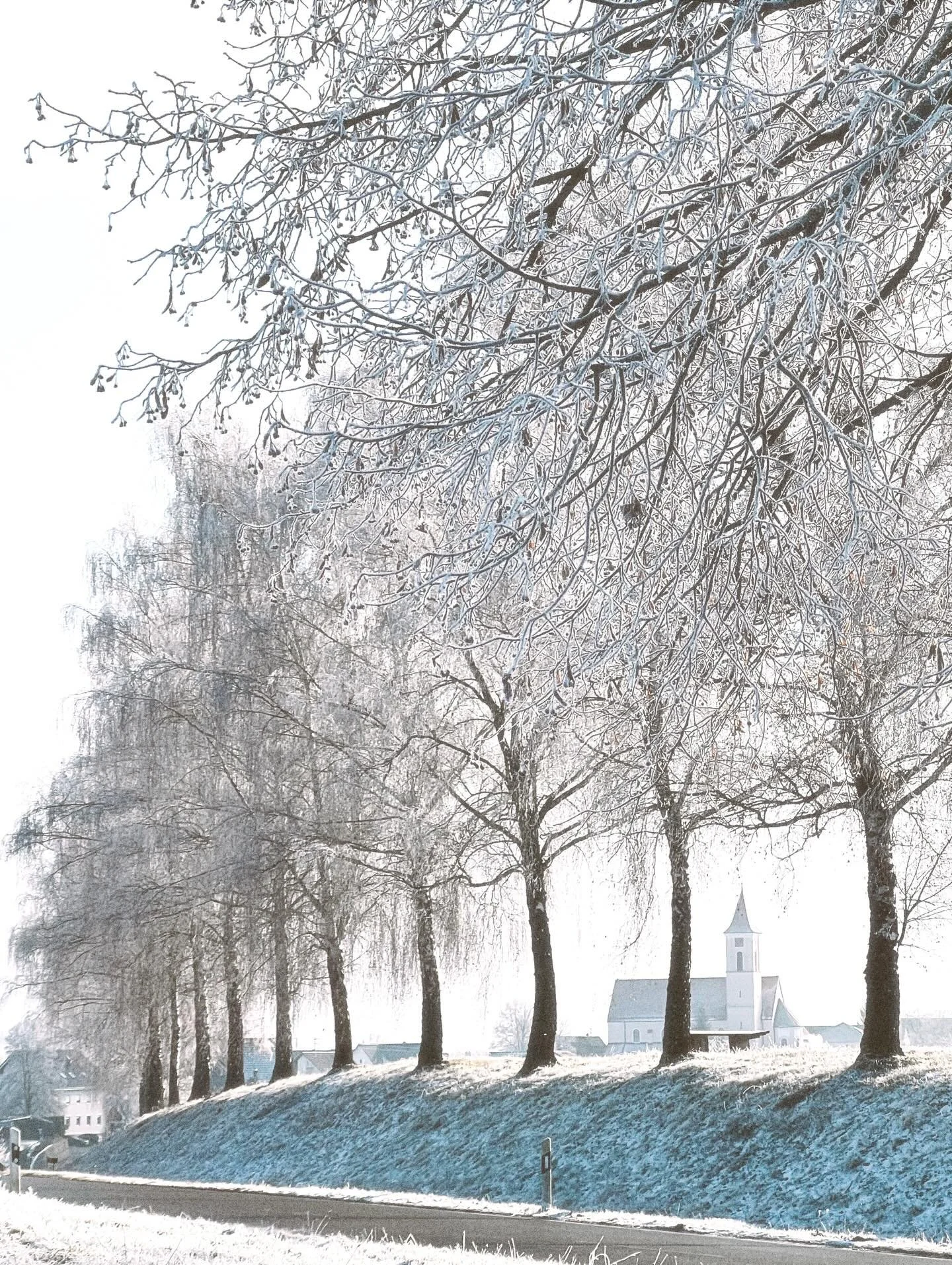 Between the years ❄️

Yesterday was magical as the temperature plummeted and froze the branches into a frosty wonderland.  As if time were standing still for one more moment, honoring what has passed before reaching out for what will come. 

Every da